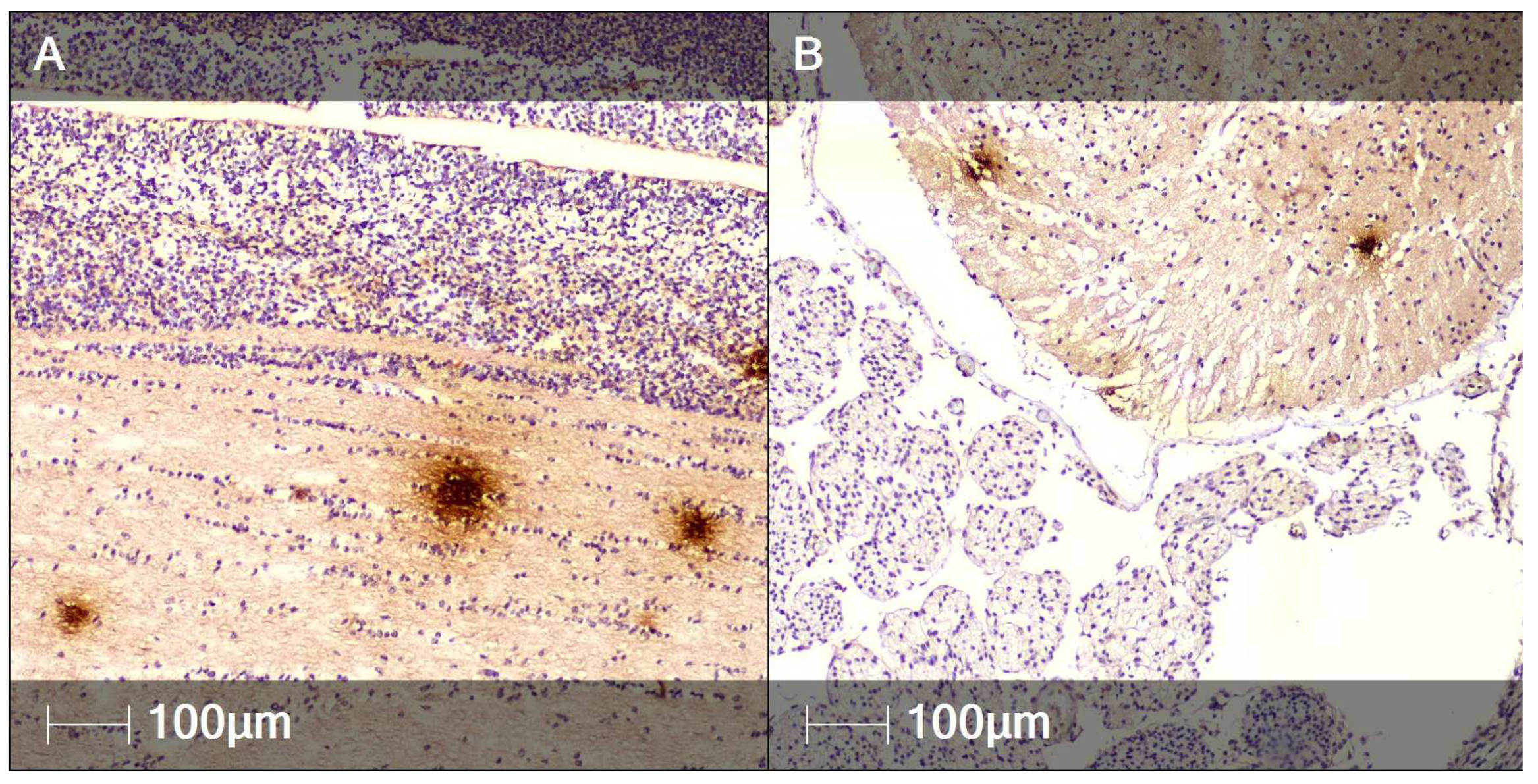 Clinpract 12 00061 g008a 550