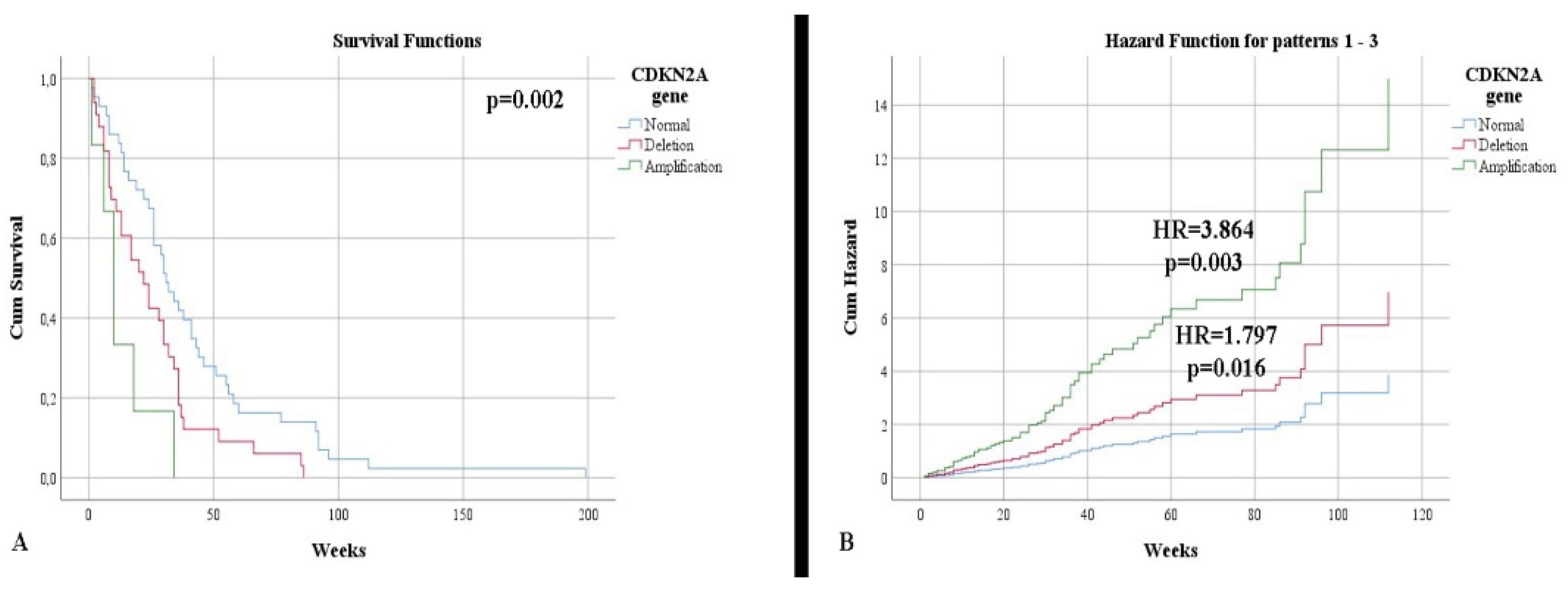 Clinpract 12 00073 g003