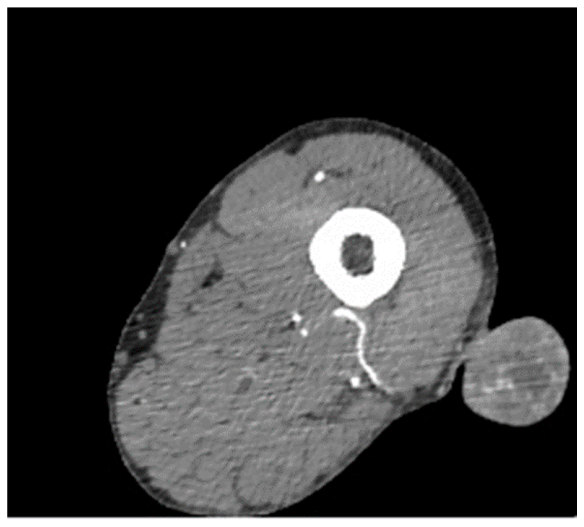 Clinpract 12 00078 g002