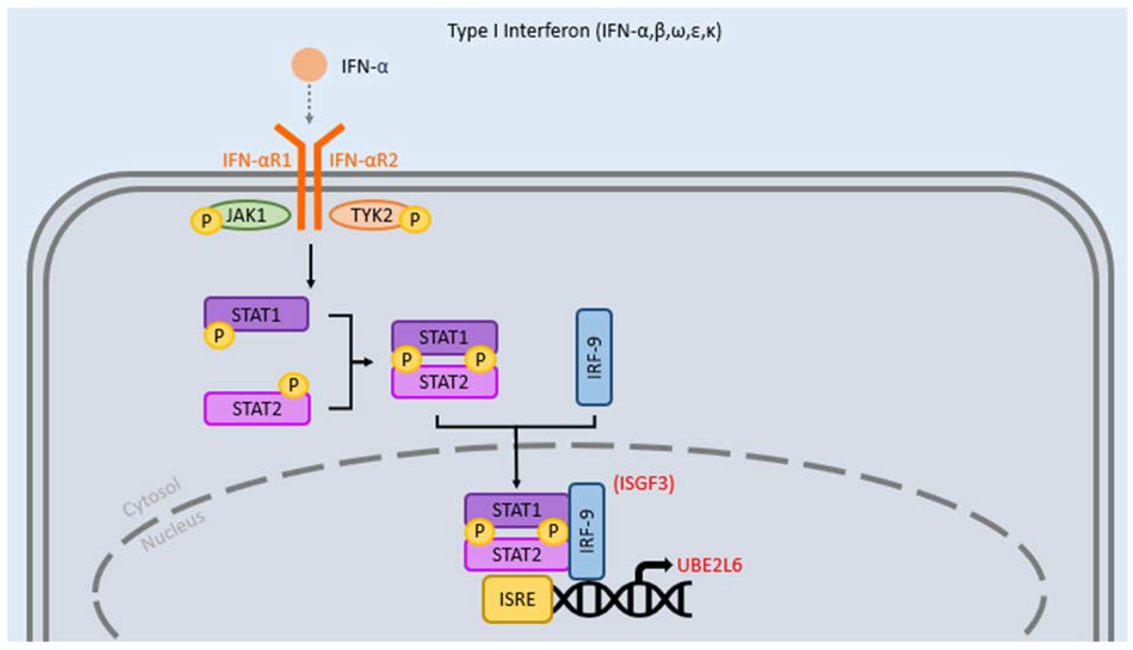 Clinpract 12 00082 g001 Clinpract 12 00082 g001