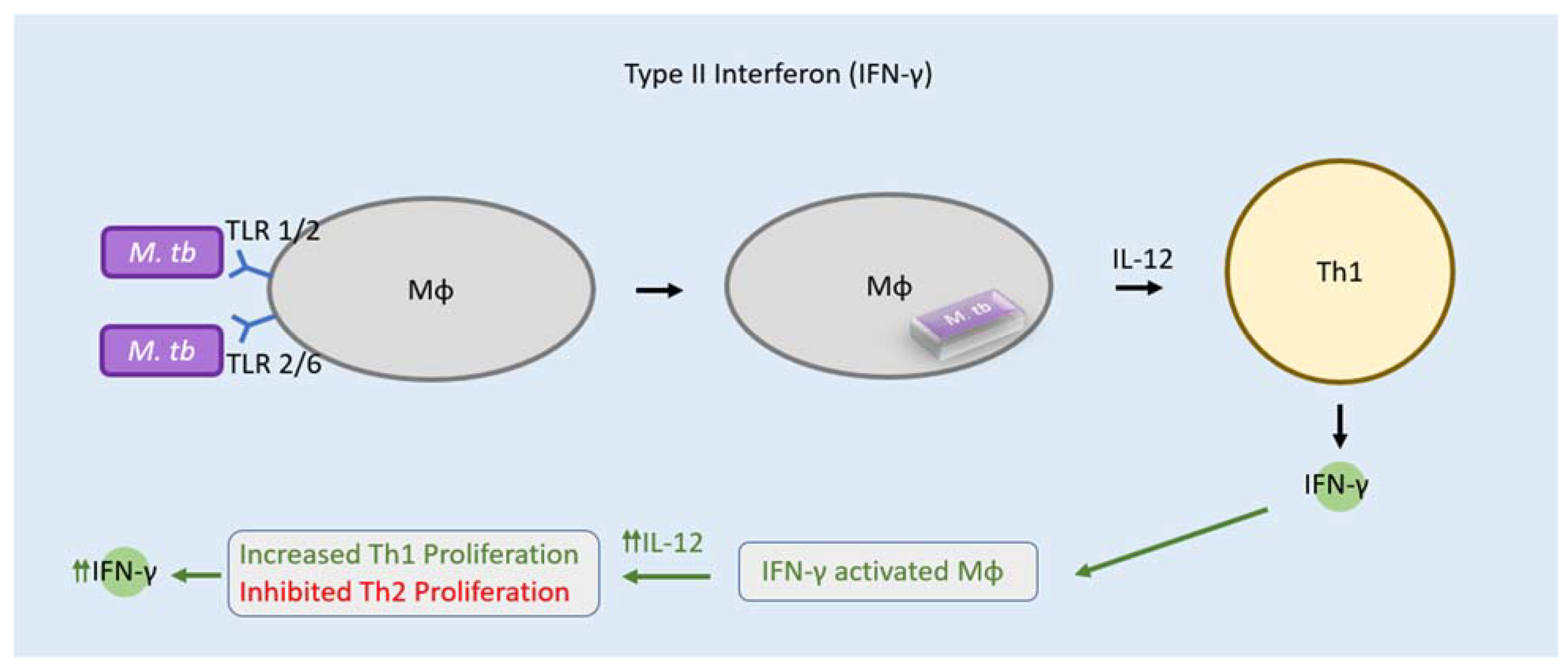 Clinpract 12 00082 g002 Clinpract 12 00082 g002