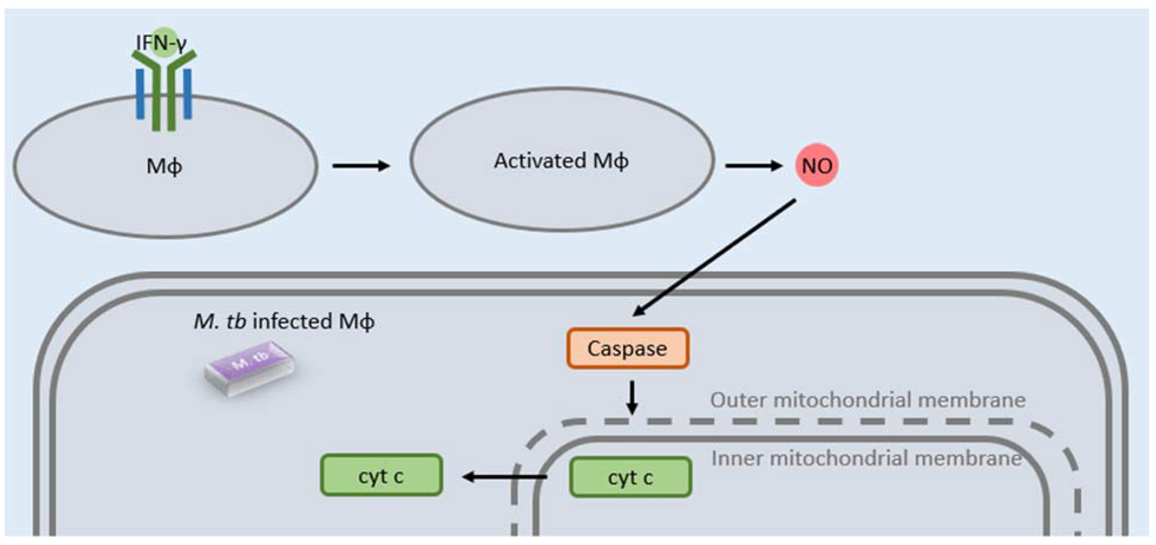 Clinpract 12 00082 g003 Clinpract 12 00082 g003