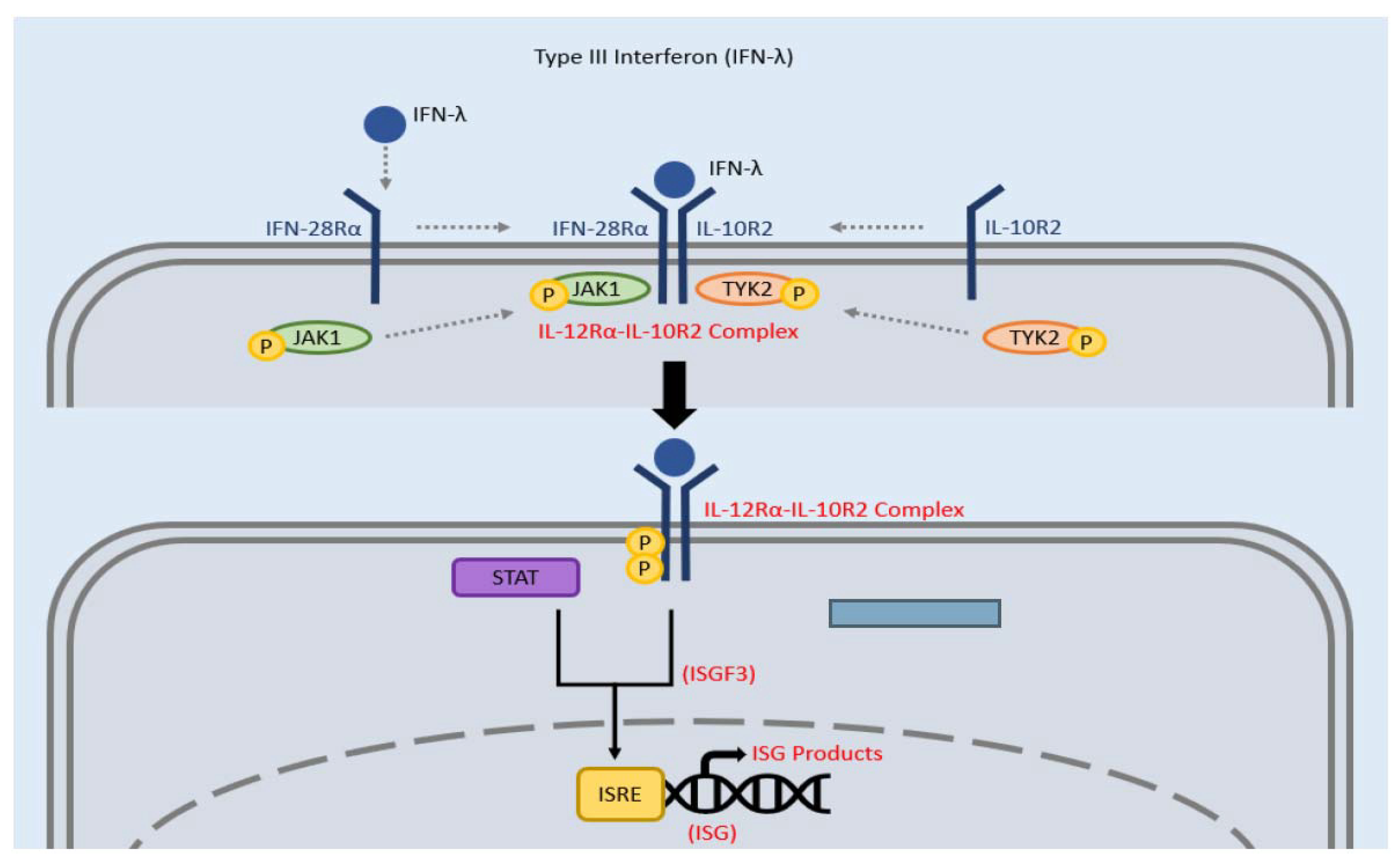 Clinpract 12 00082 g004 Clinpract 12 00082 g004