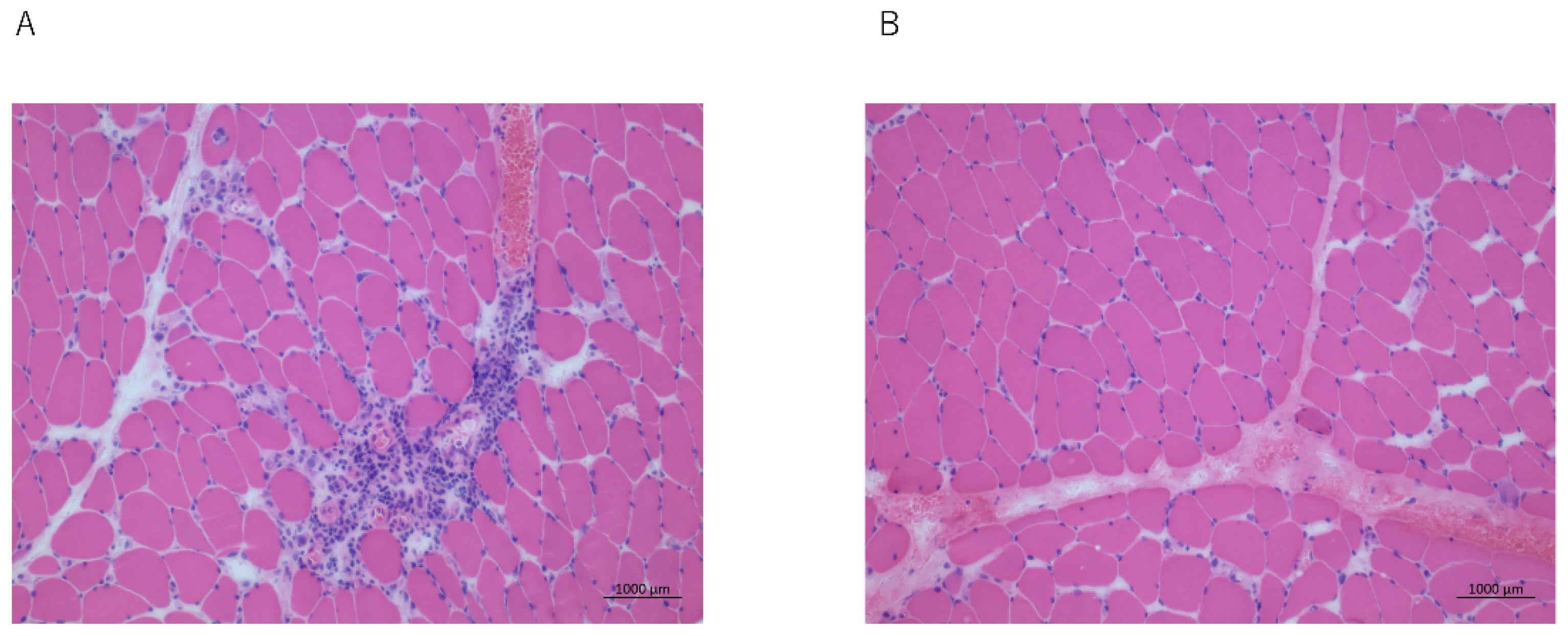 Clinpract 12 00083 g001