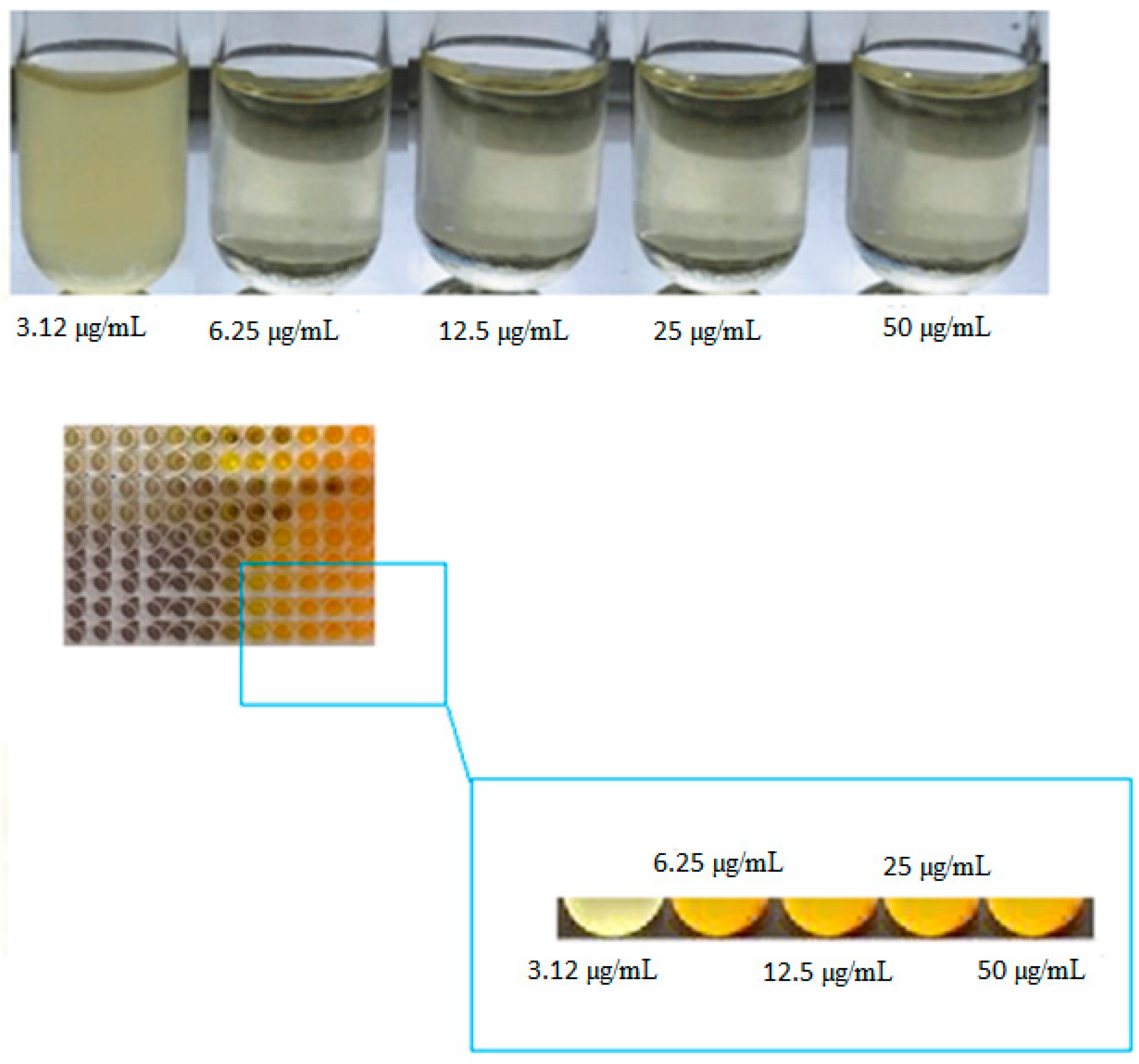 Clinpract 12 00085 g003