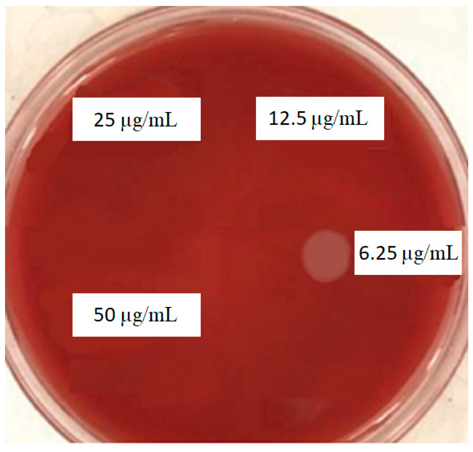 Clinpract 12 00085 g004