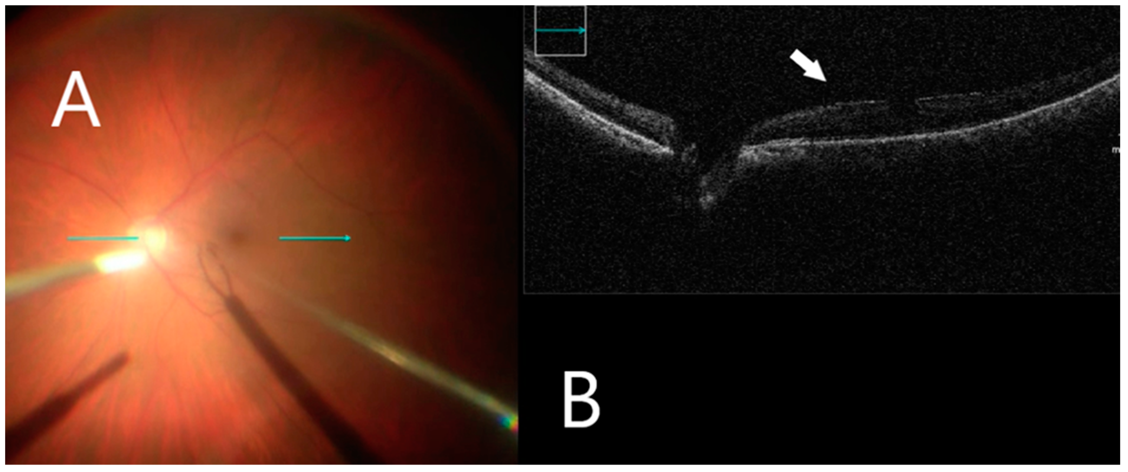Clinpract 12 00086 g002 Clinpract 12 00086 g002