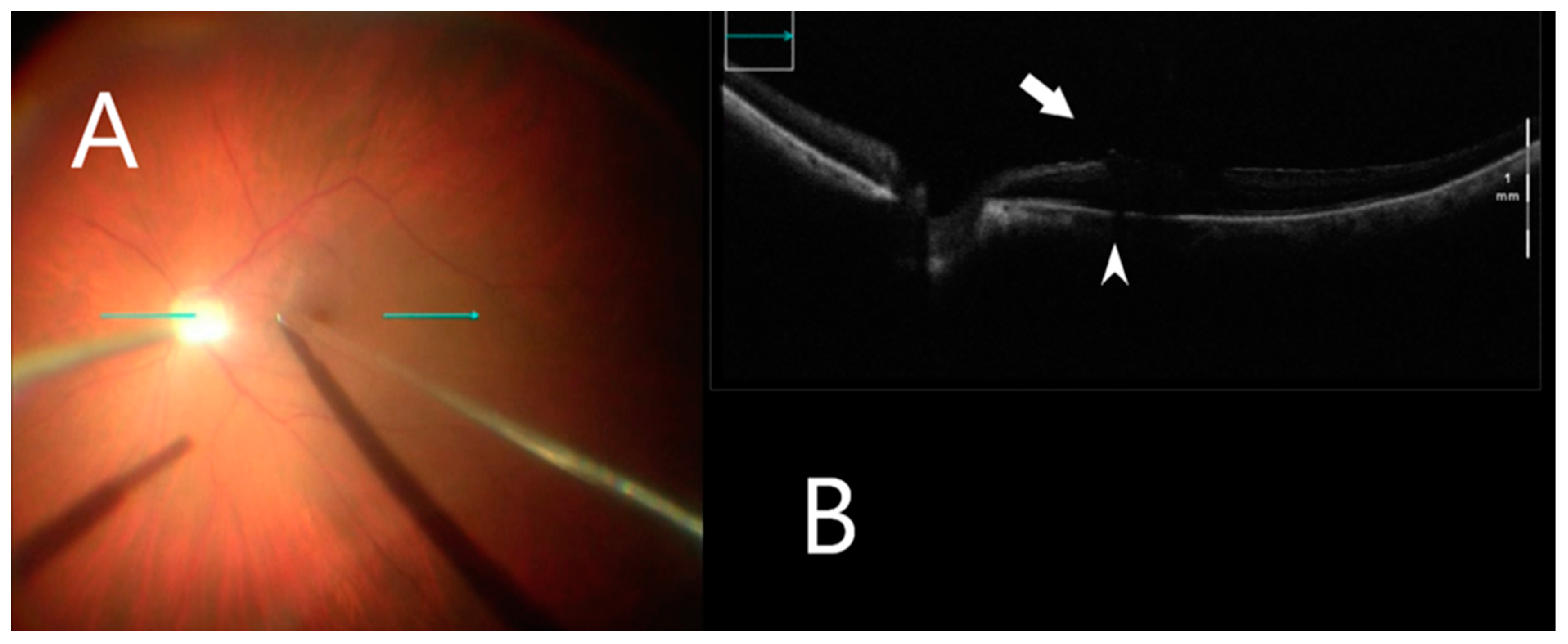 Clinpract 12 00086 g003 Clinpract 12 00086 g003