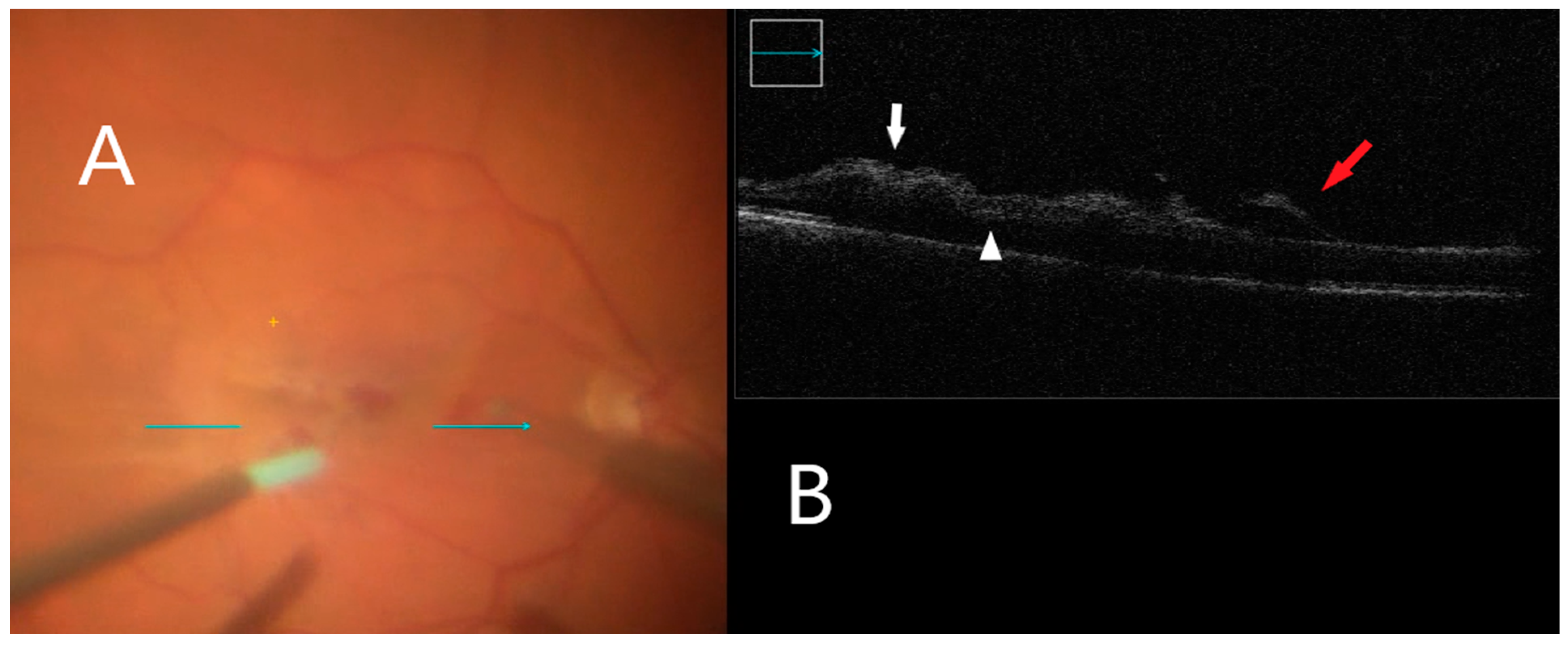 Clinpract 12 00086 g004 Clinpract 12 00086 g004