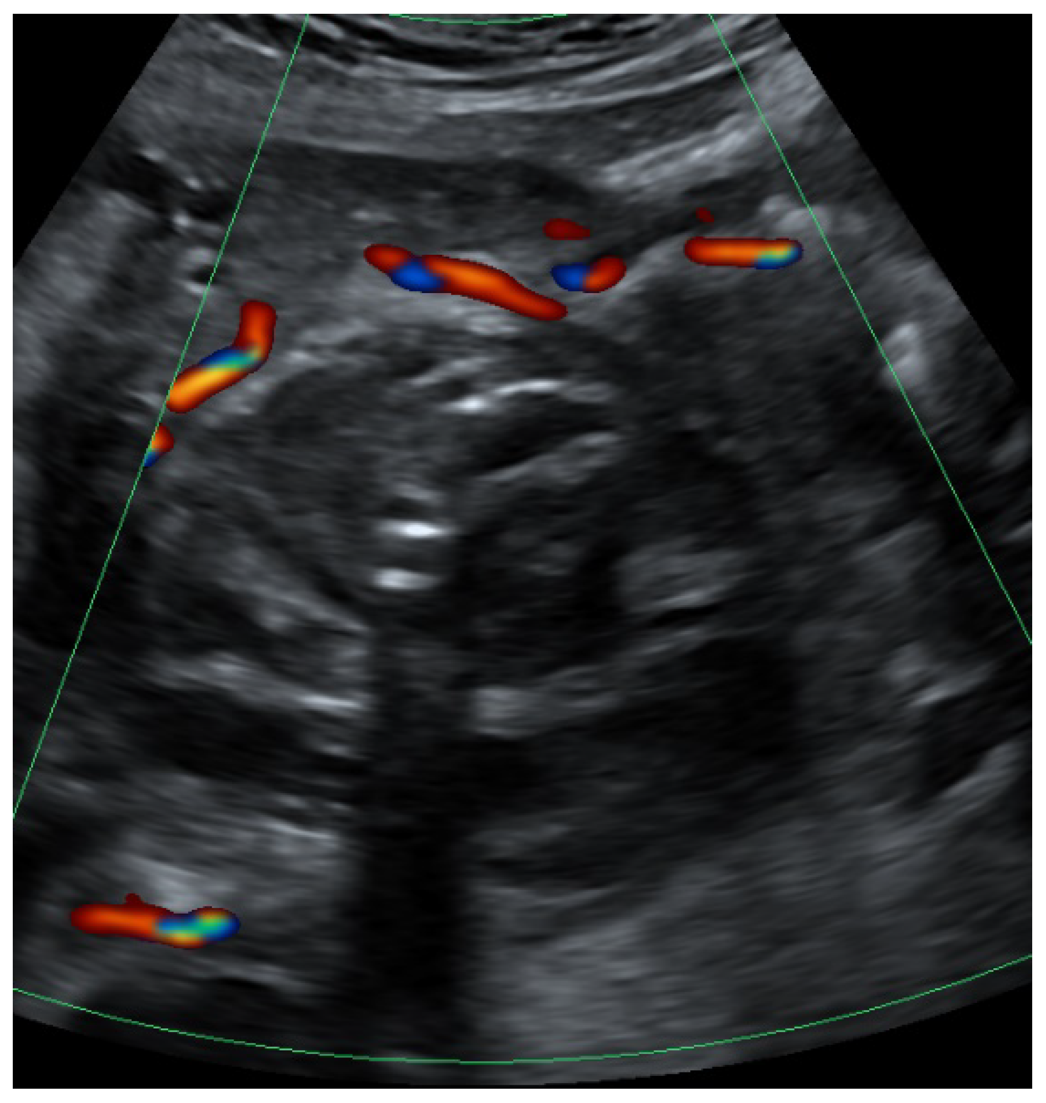 Clinpract 12 00087 g003