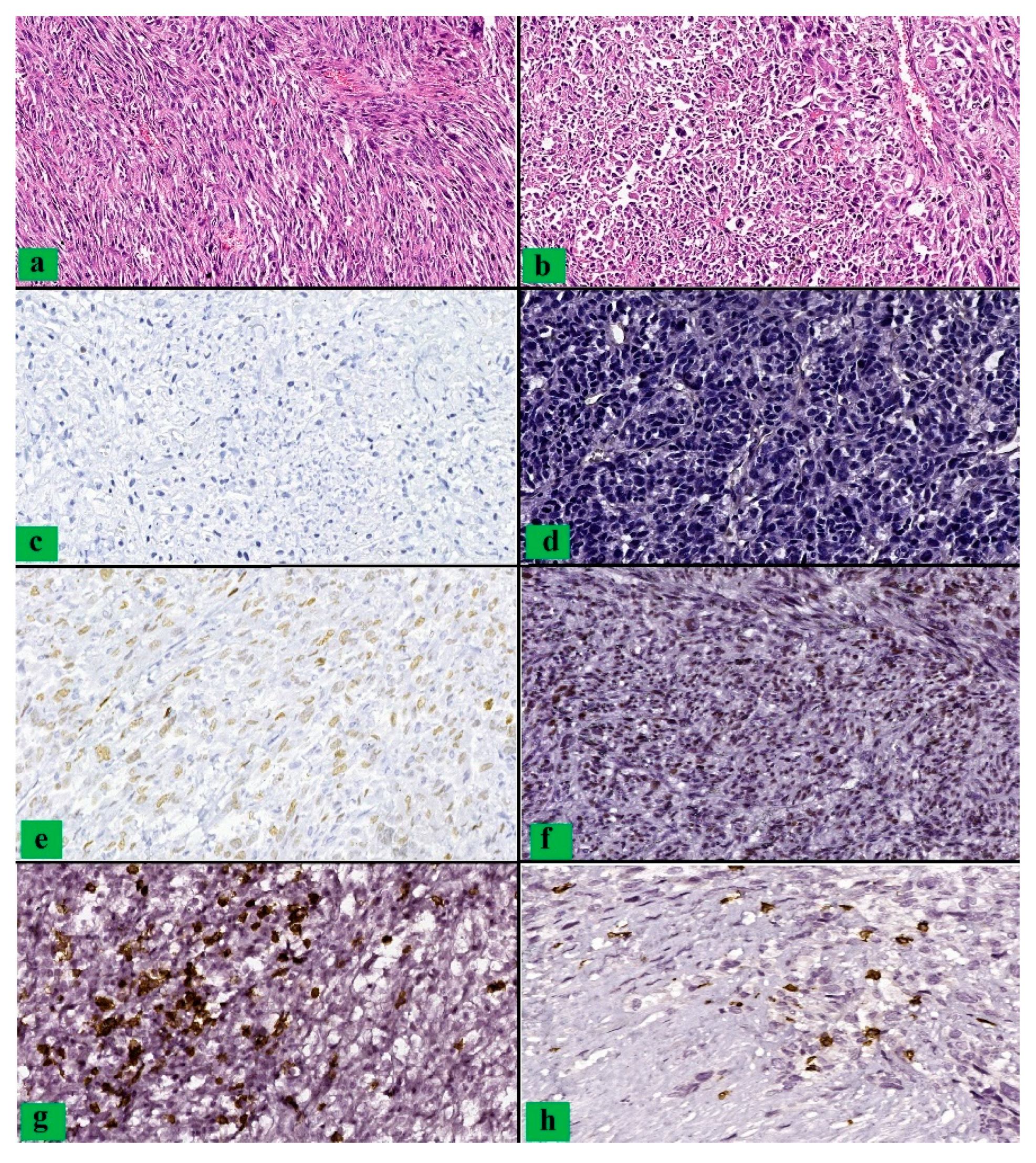 Clinpract 12 00094 g001