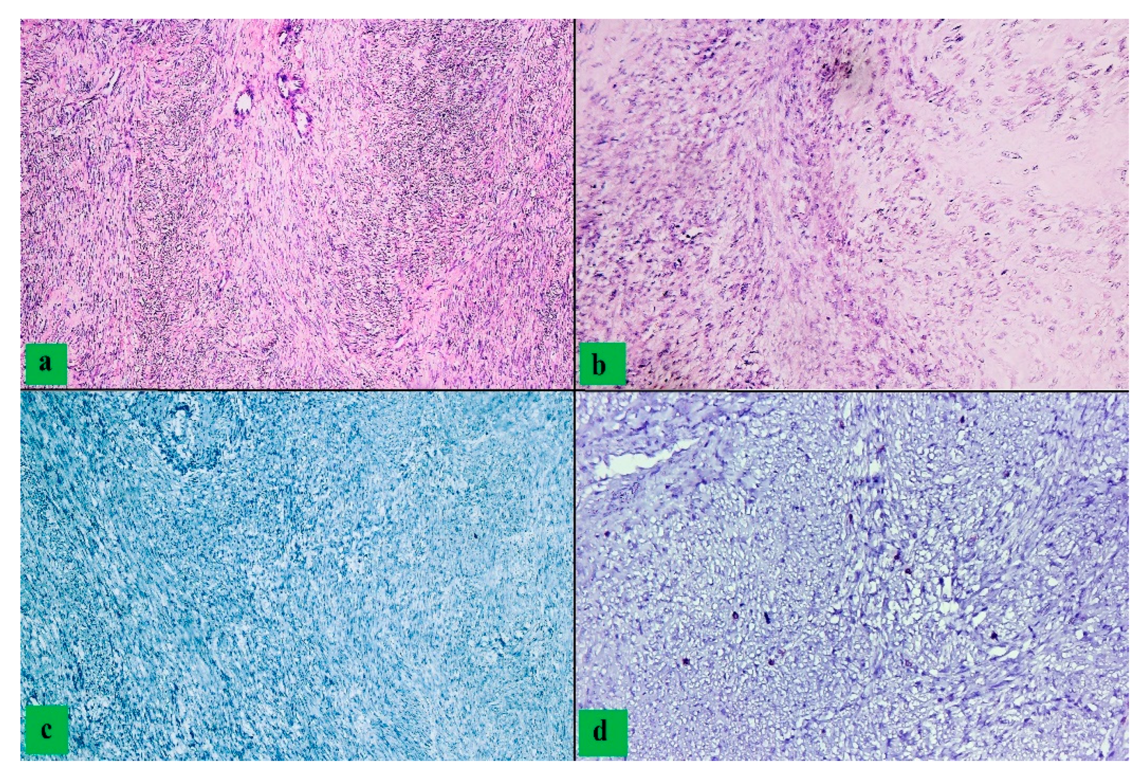 Clinpract 12 00094 g002