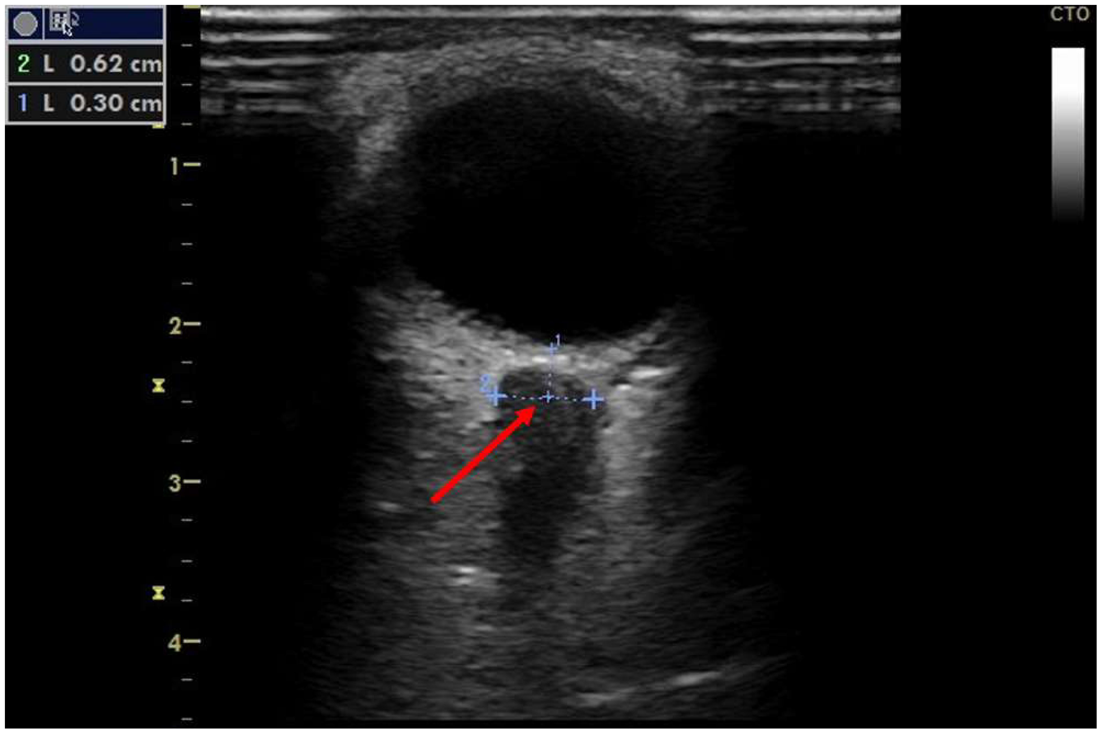 Clinpract 12 00102 g001