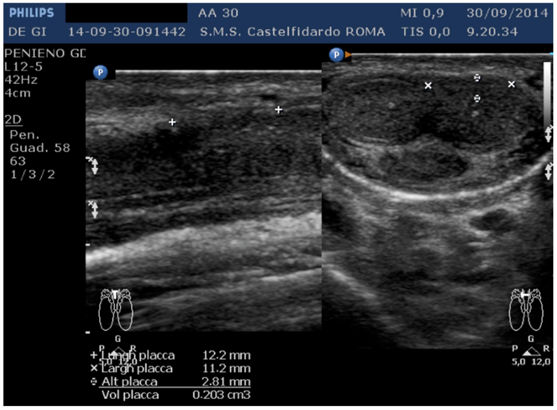 Clinpract 12 00105 g012 Clinpract 12 00105 g012