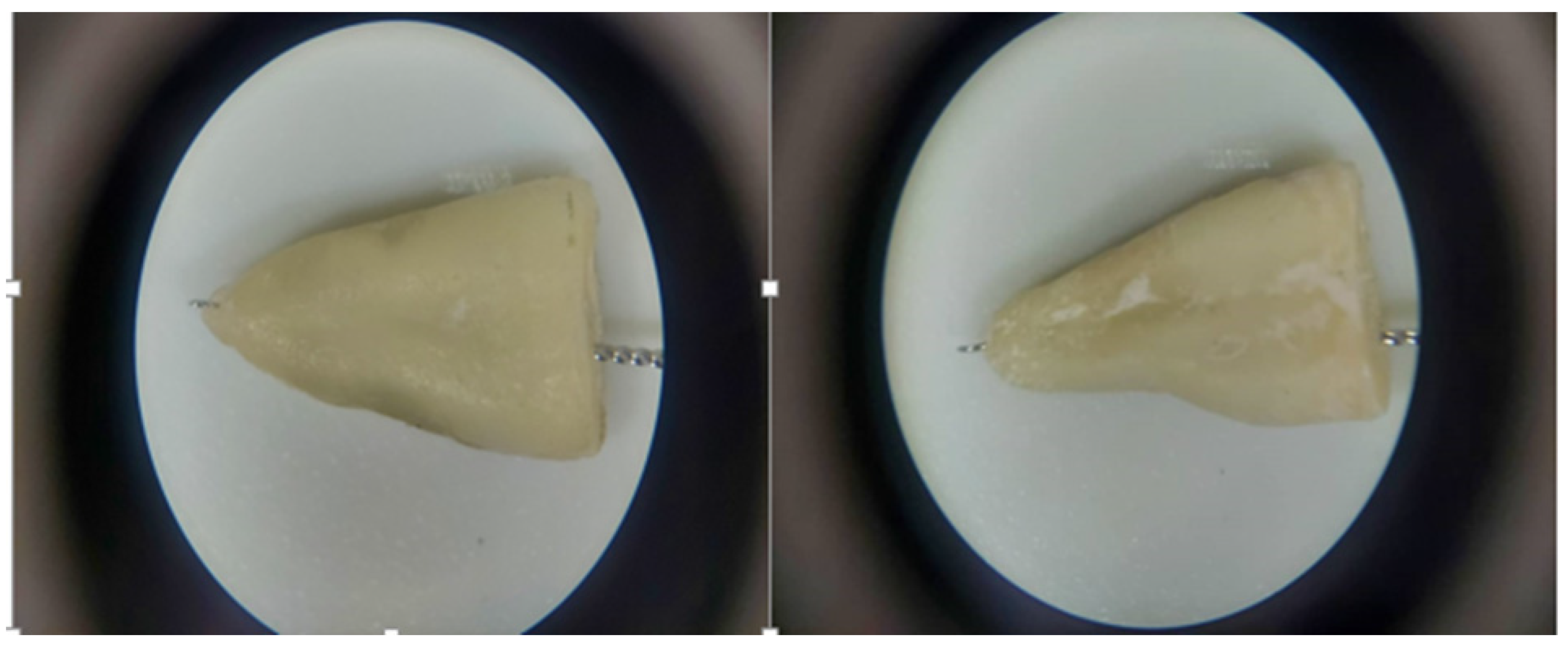 Clinpract 12 00107 g001