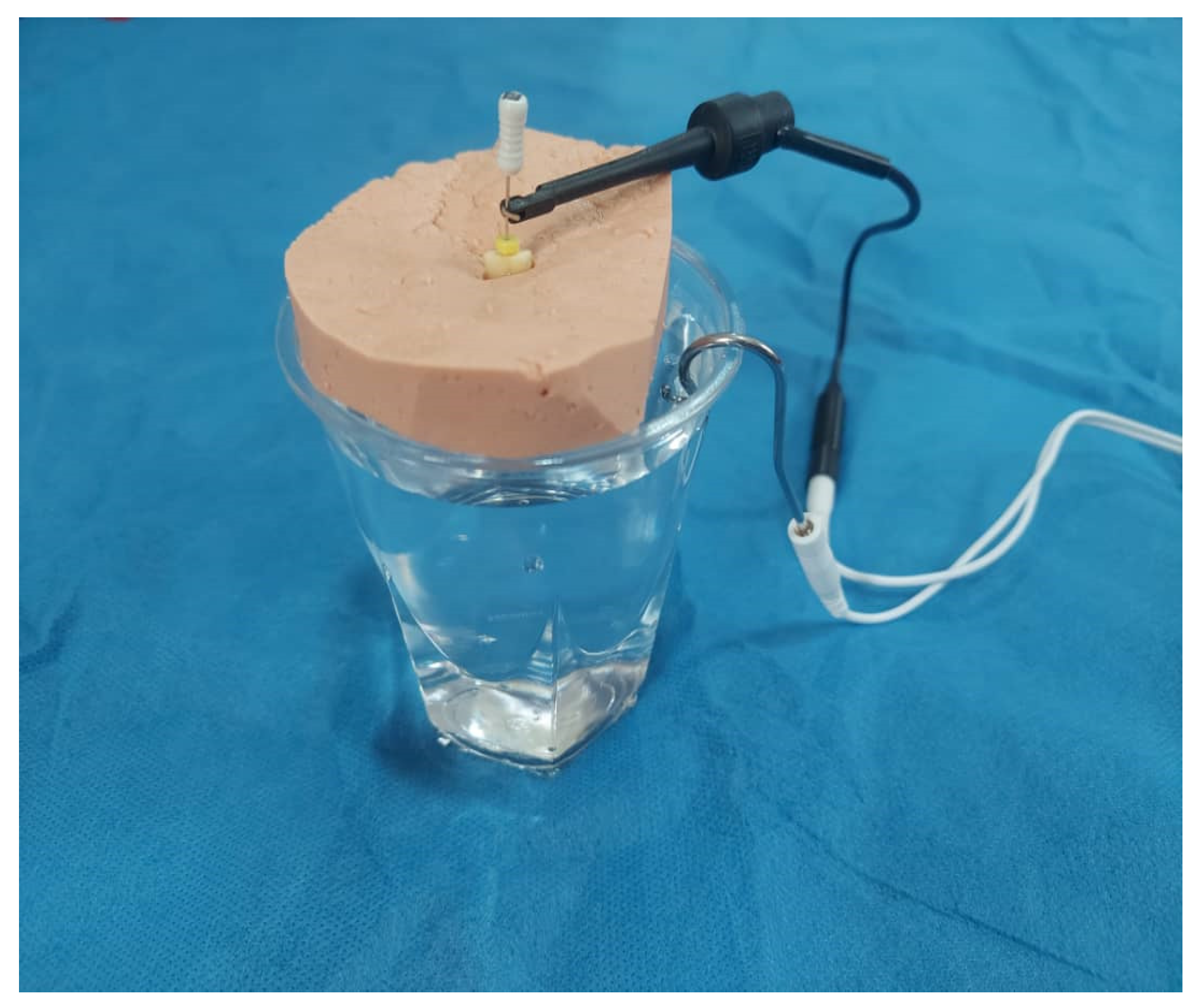 Clinpract 12 00107 g002