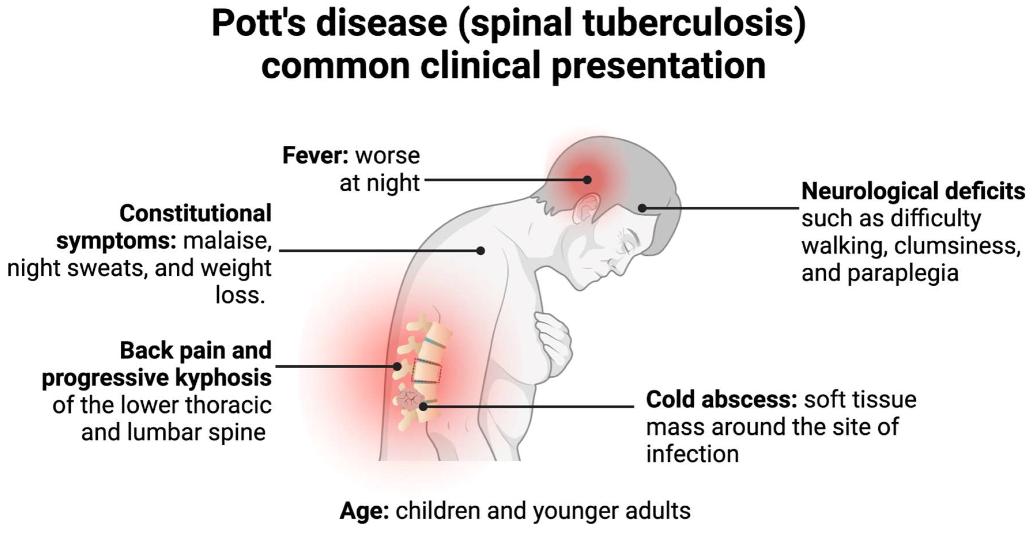 Clinics And Practice Free Full Text Pathogenesis Diagnostic clinics-and-practice-free-full-text-pathogenesis-diagnostic