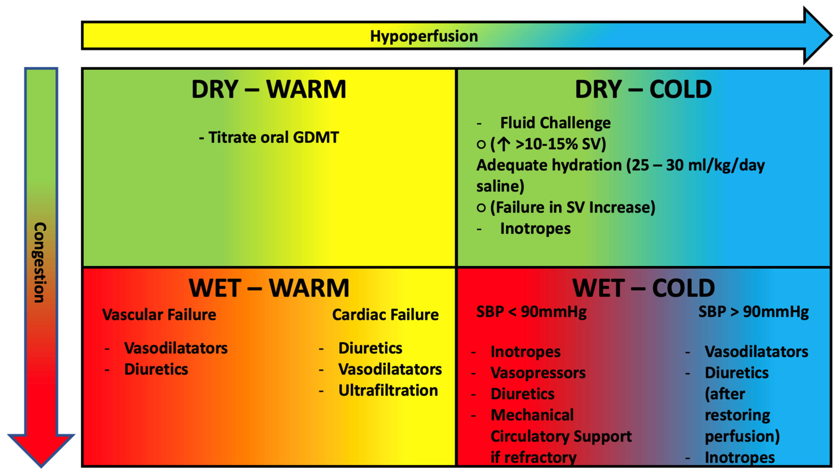 Clinics And Practice Free Full Text Pathophysiology Based