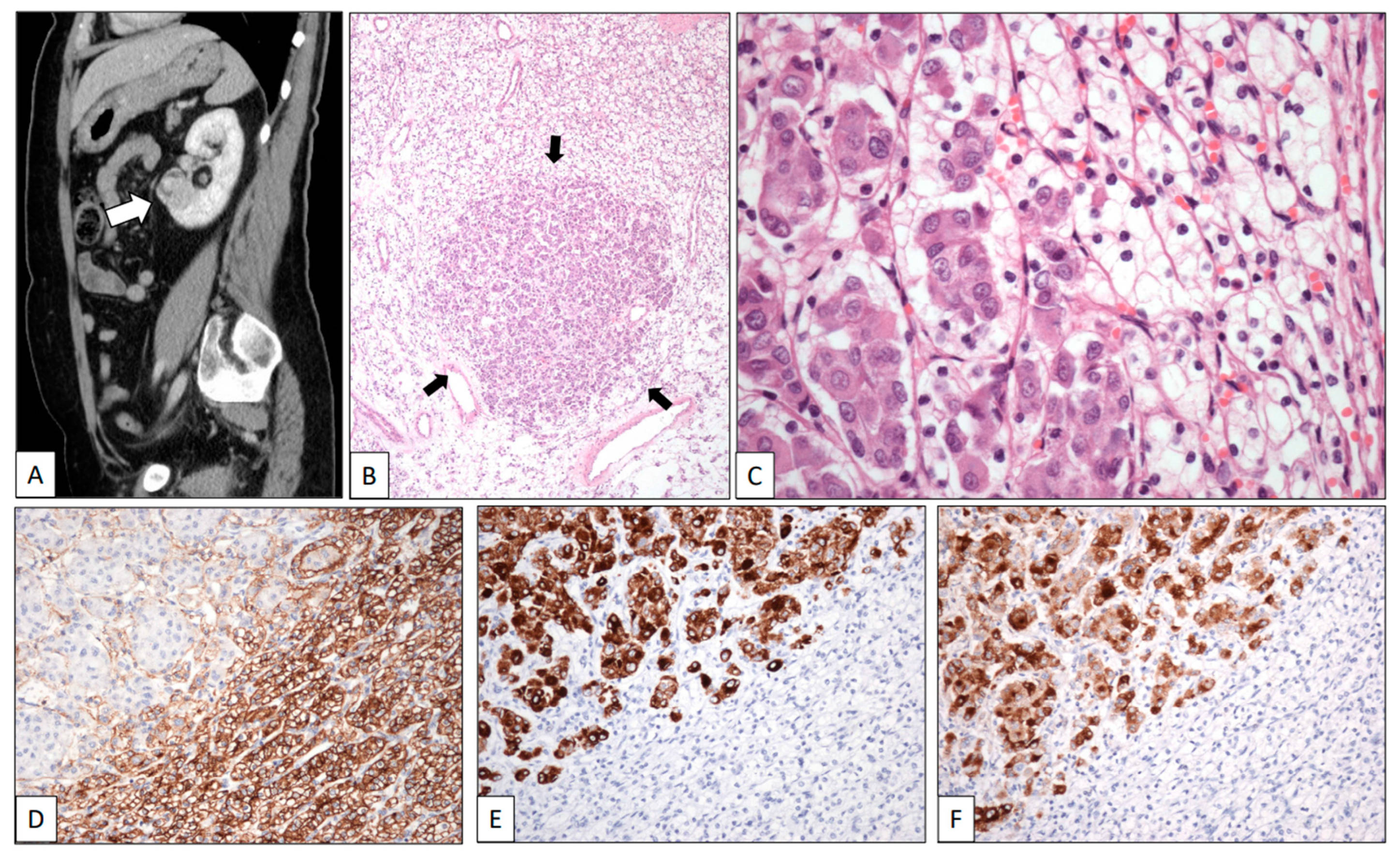 Clinpract 13 00026 g001 Clinpract 13 00026 g001