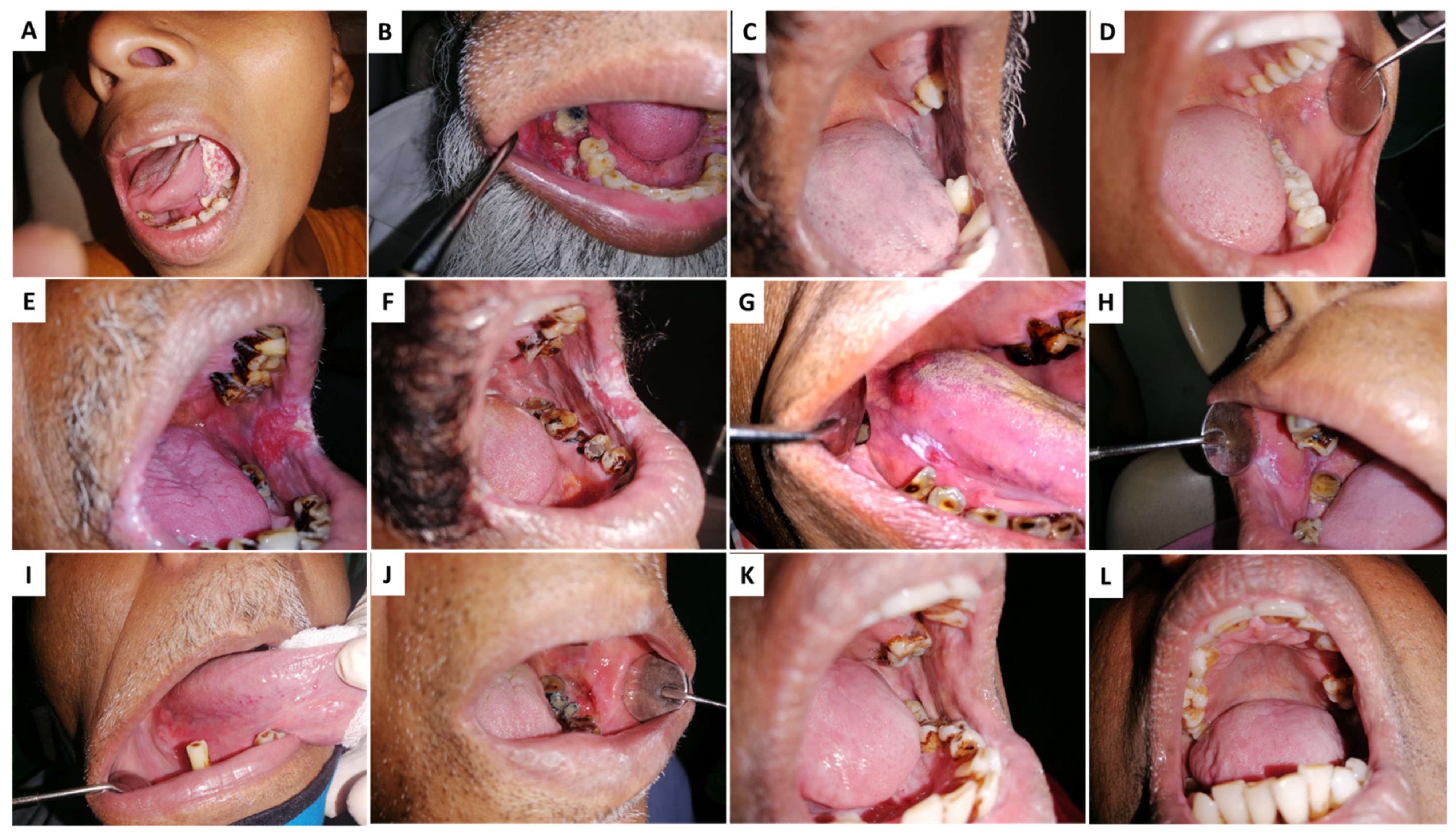 Clinpract 13 00030 g001