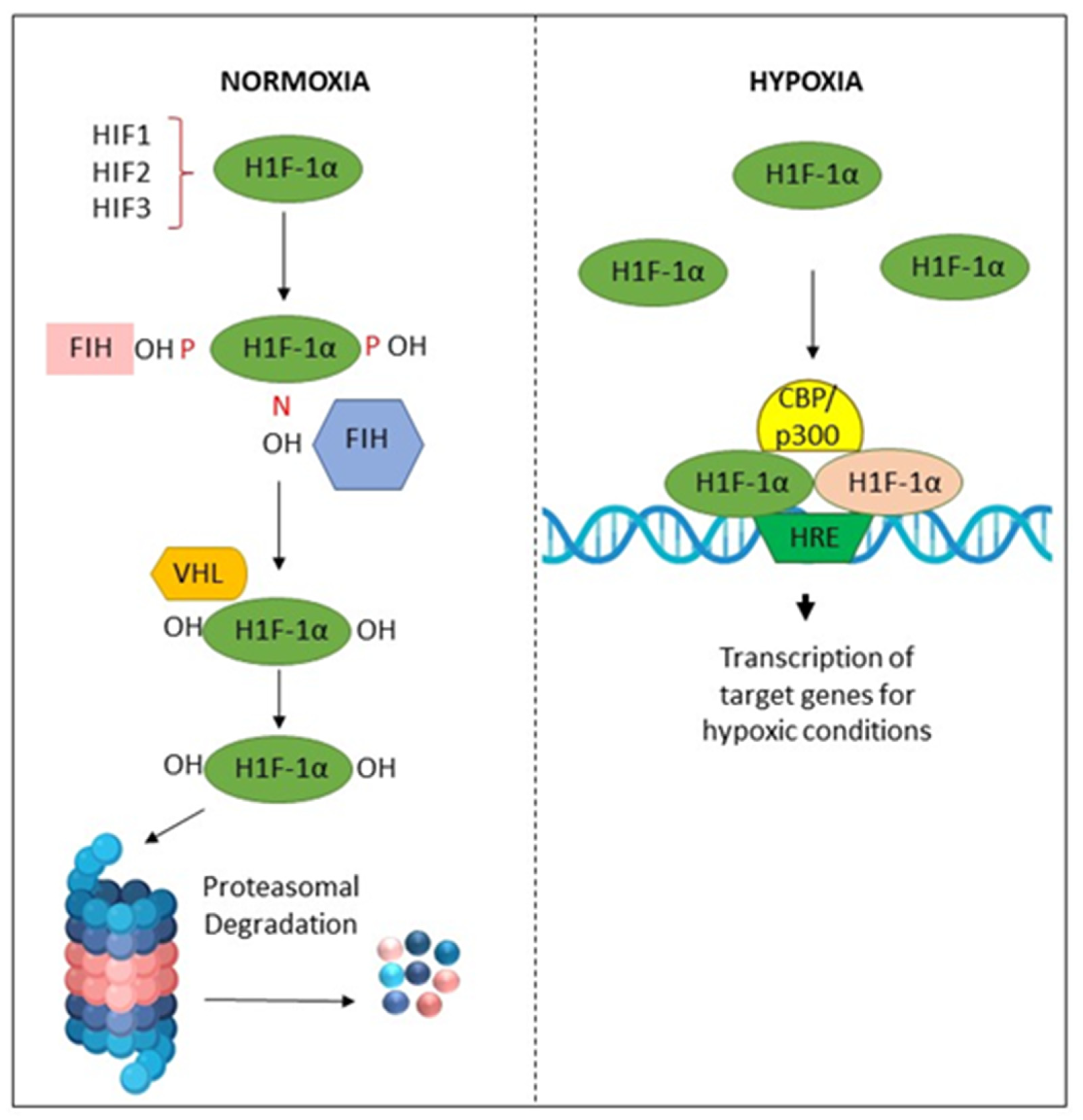 Clinpract 13 00030 g005