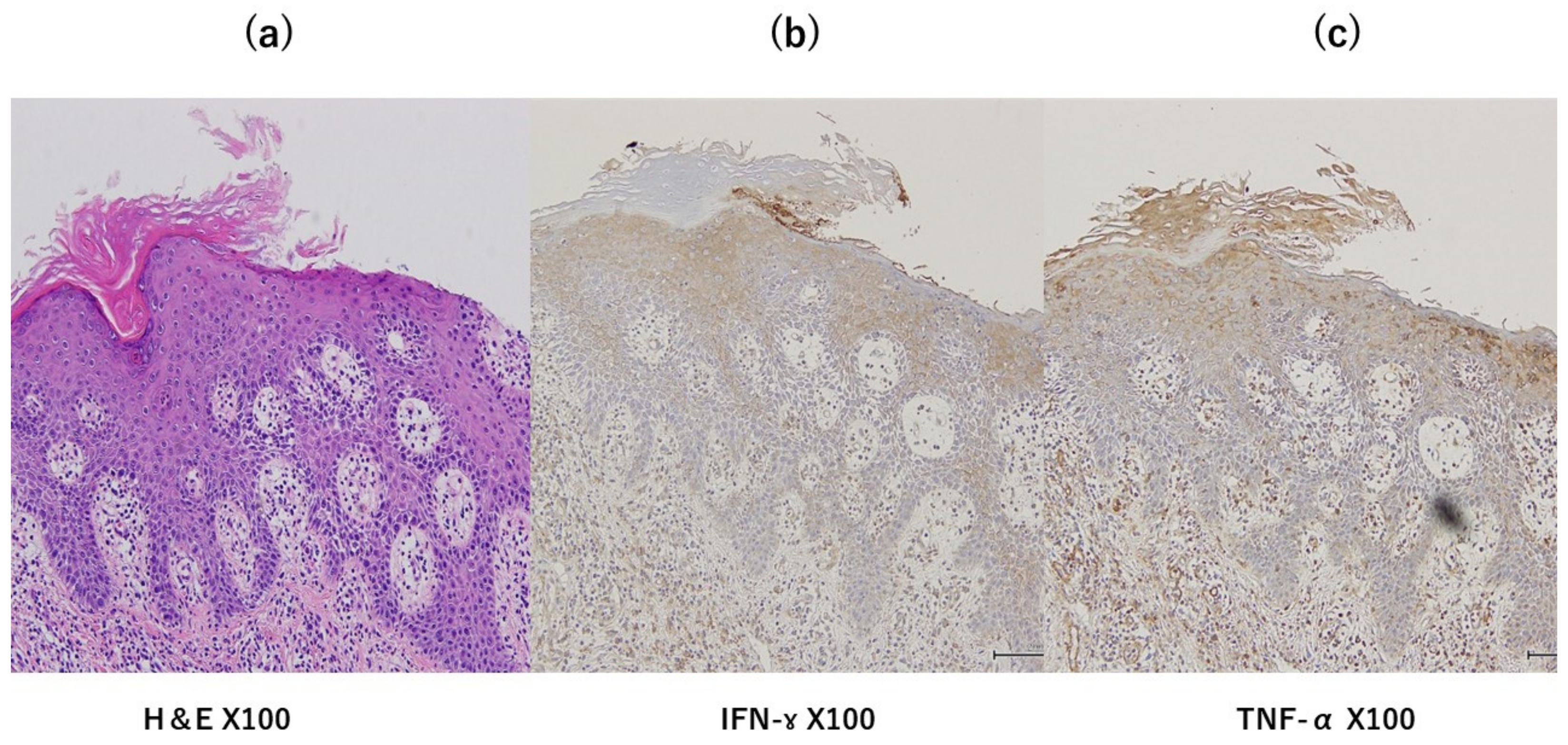 Clinpract 13 00033 g002 Clinpract 13 00033 g002