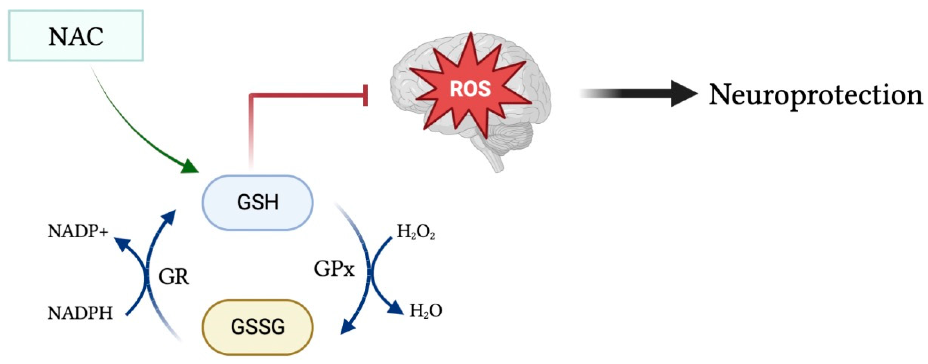 Potential Role of Glutathione Antioxidant 