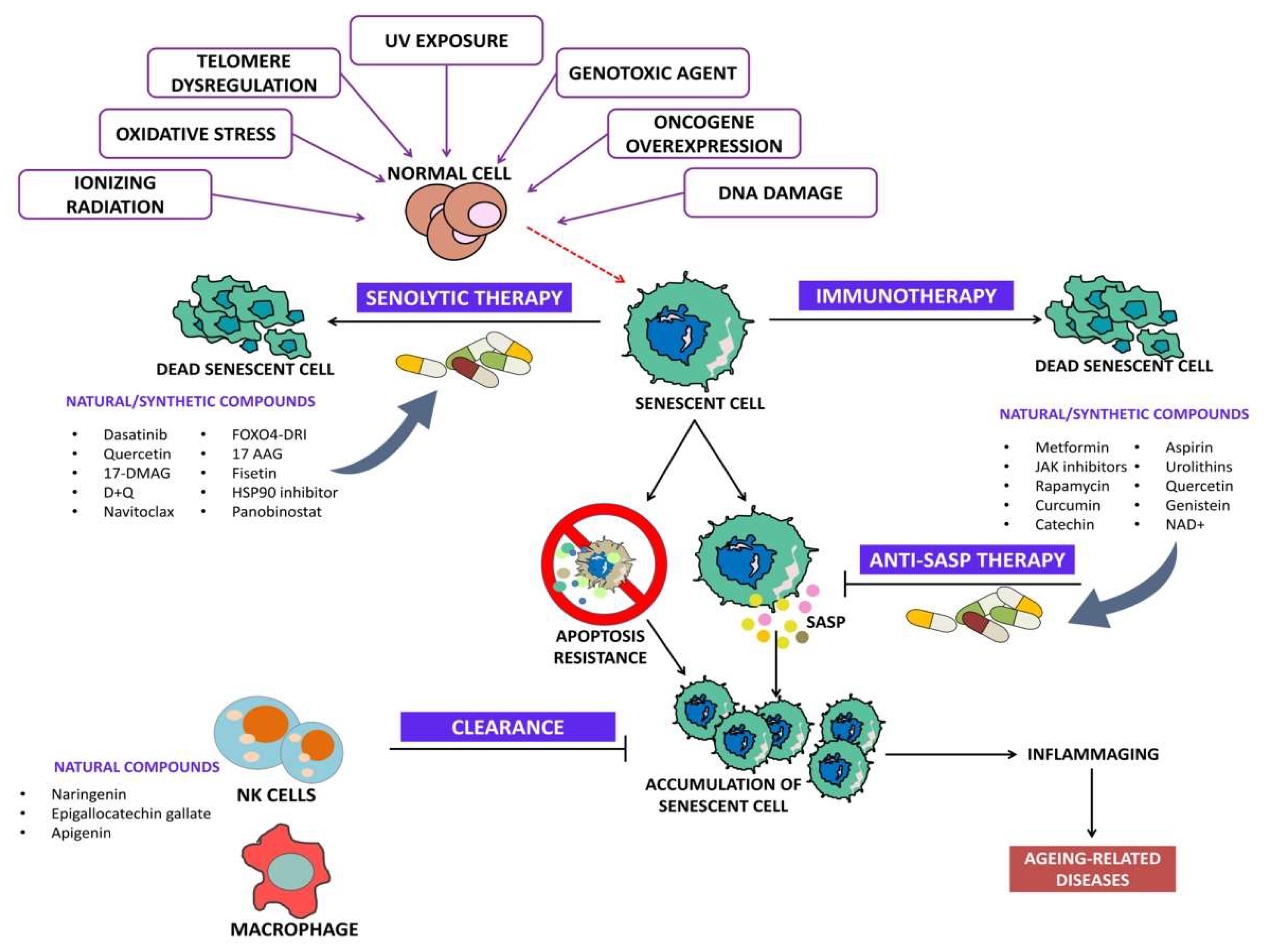 Clinpract 13 00076 g002