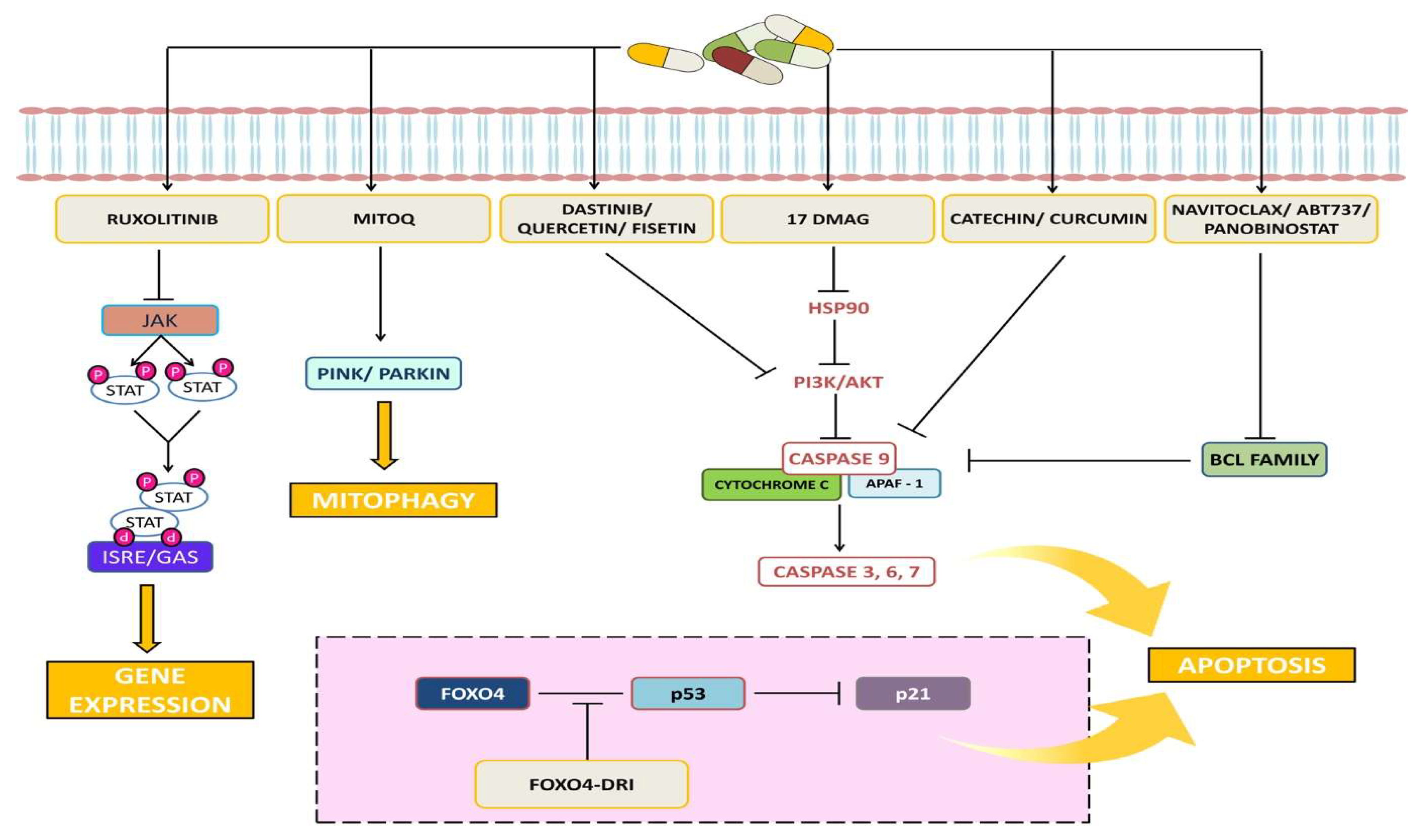 Clinpract 13 00076 g003