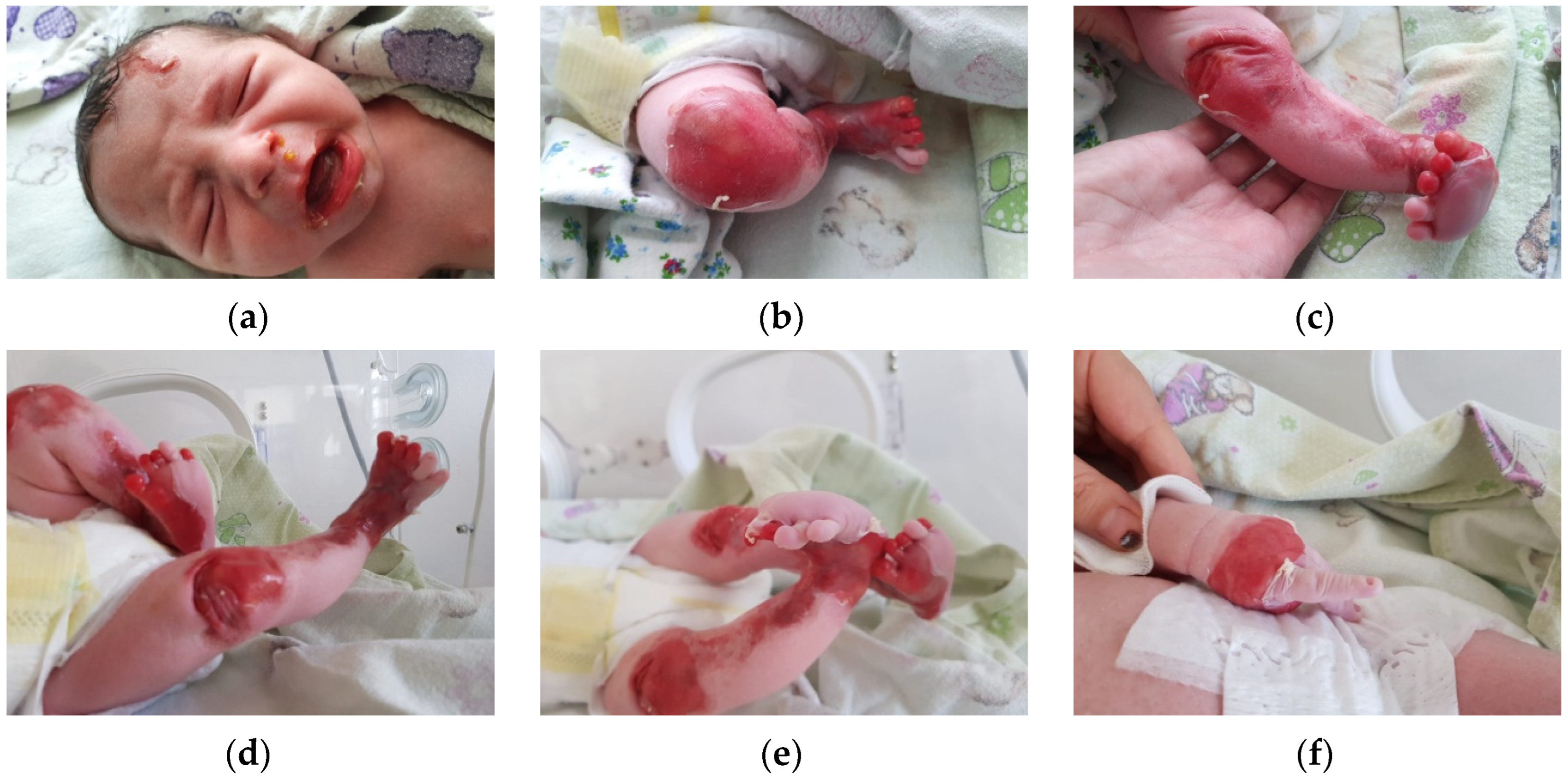 Clinpract 13 00079 g001