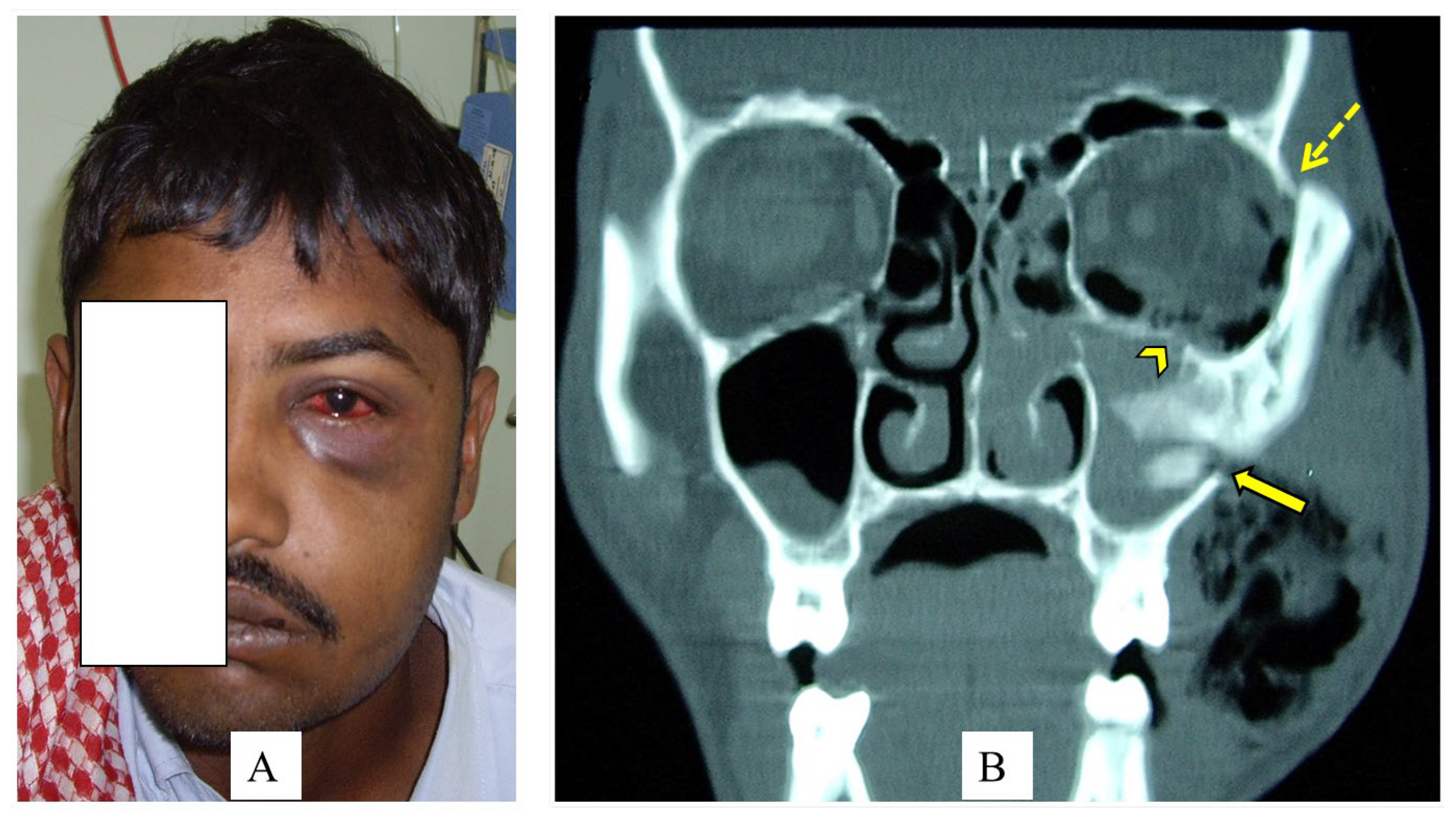 Clinpract 13 00081 g001