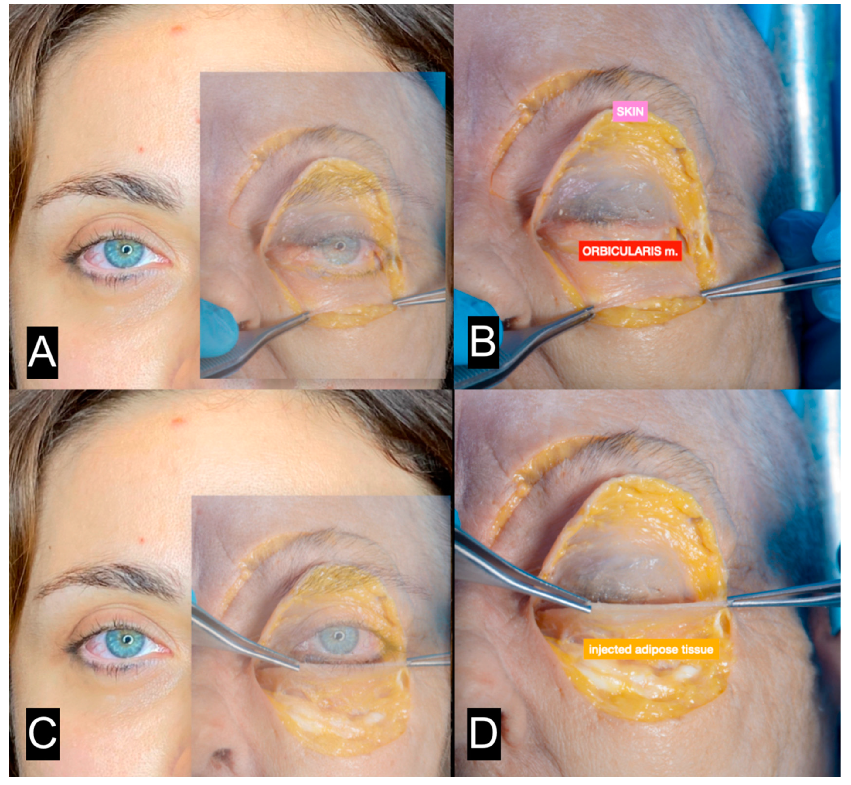 Clinpract 13 00085 g011