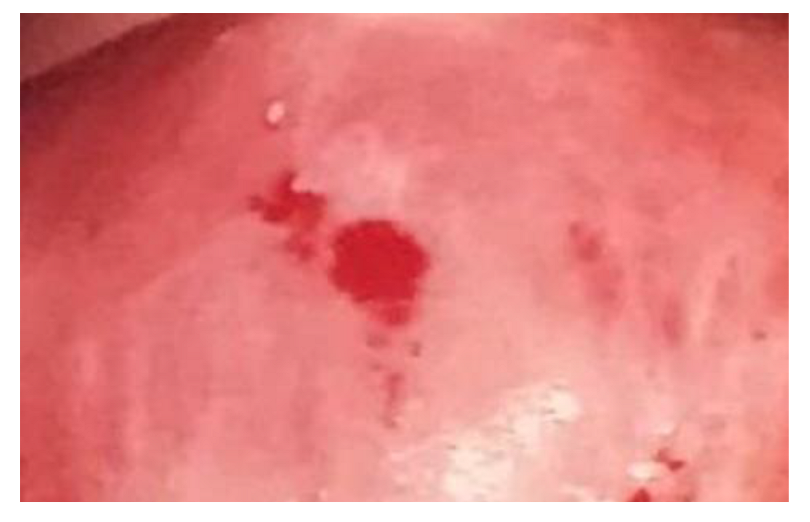 Clinpract 13 00091 g001