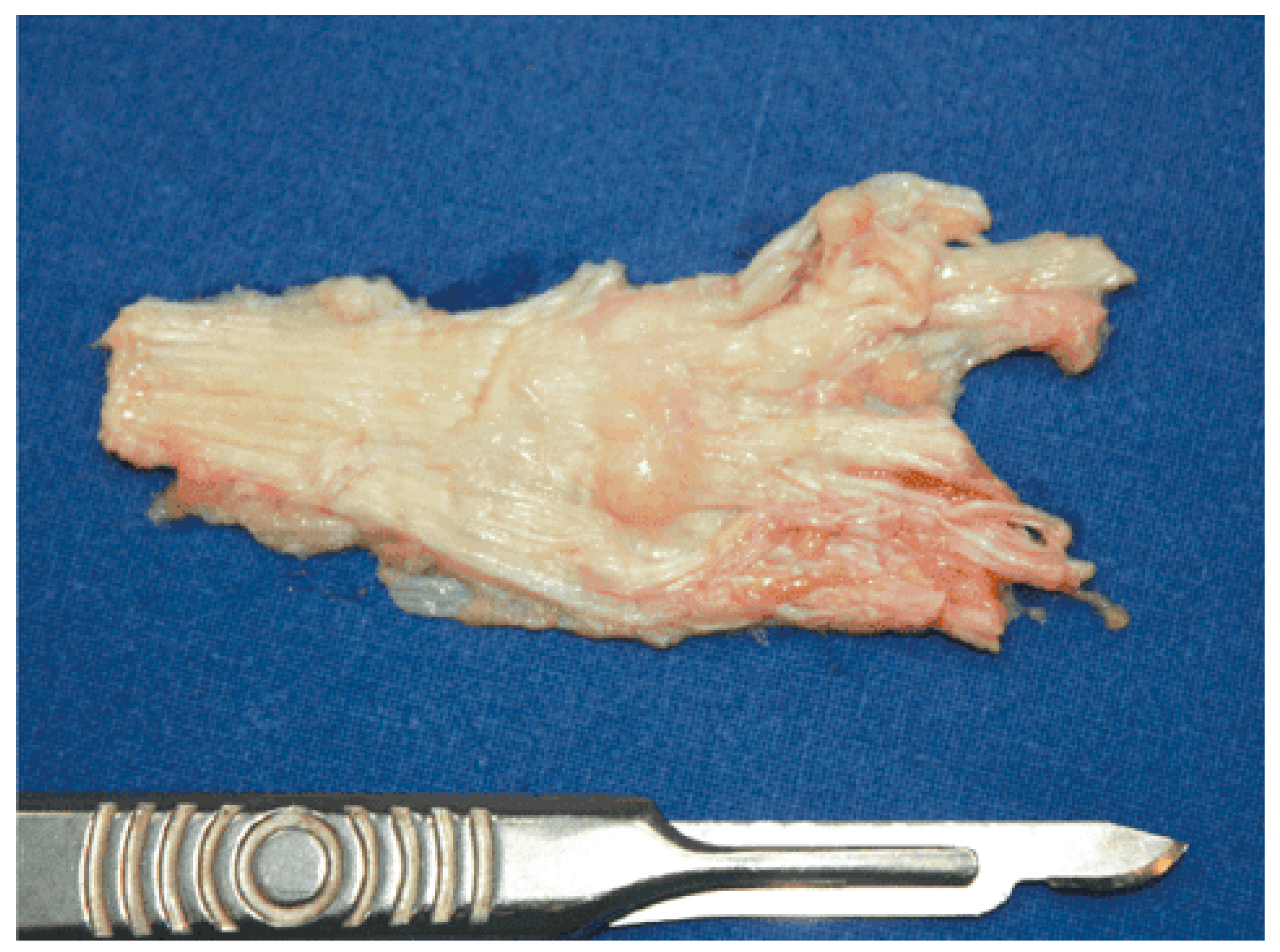 Clinpract 13 00106 g004 Clinpract 13 00106 g004