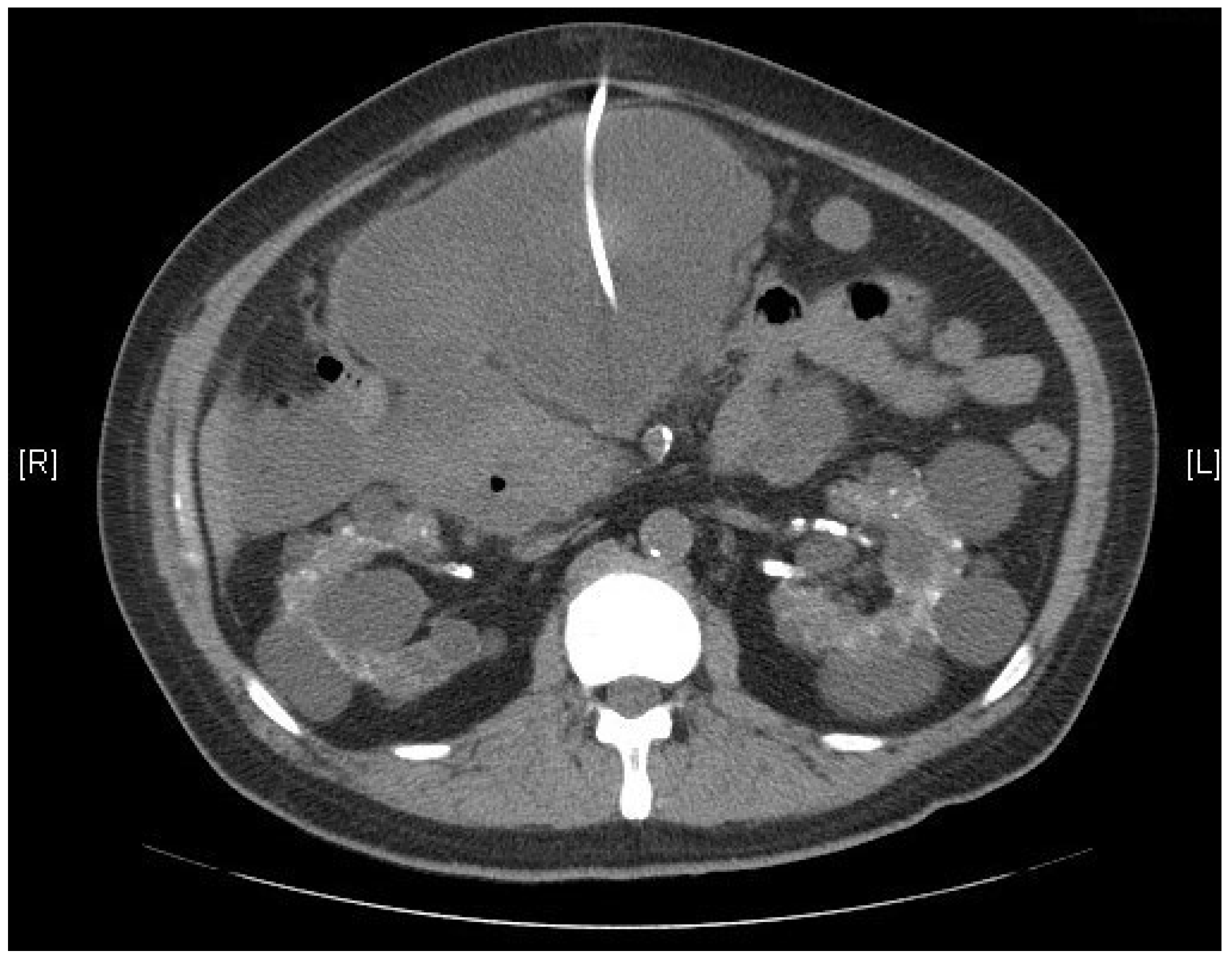 Clinpract 13 00111 g002