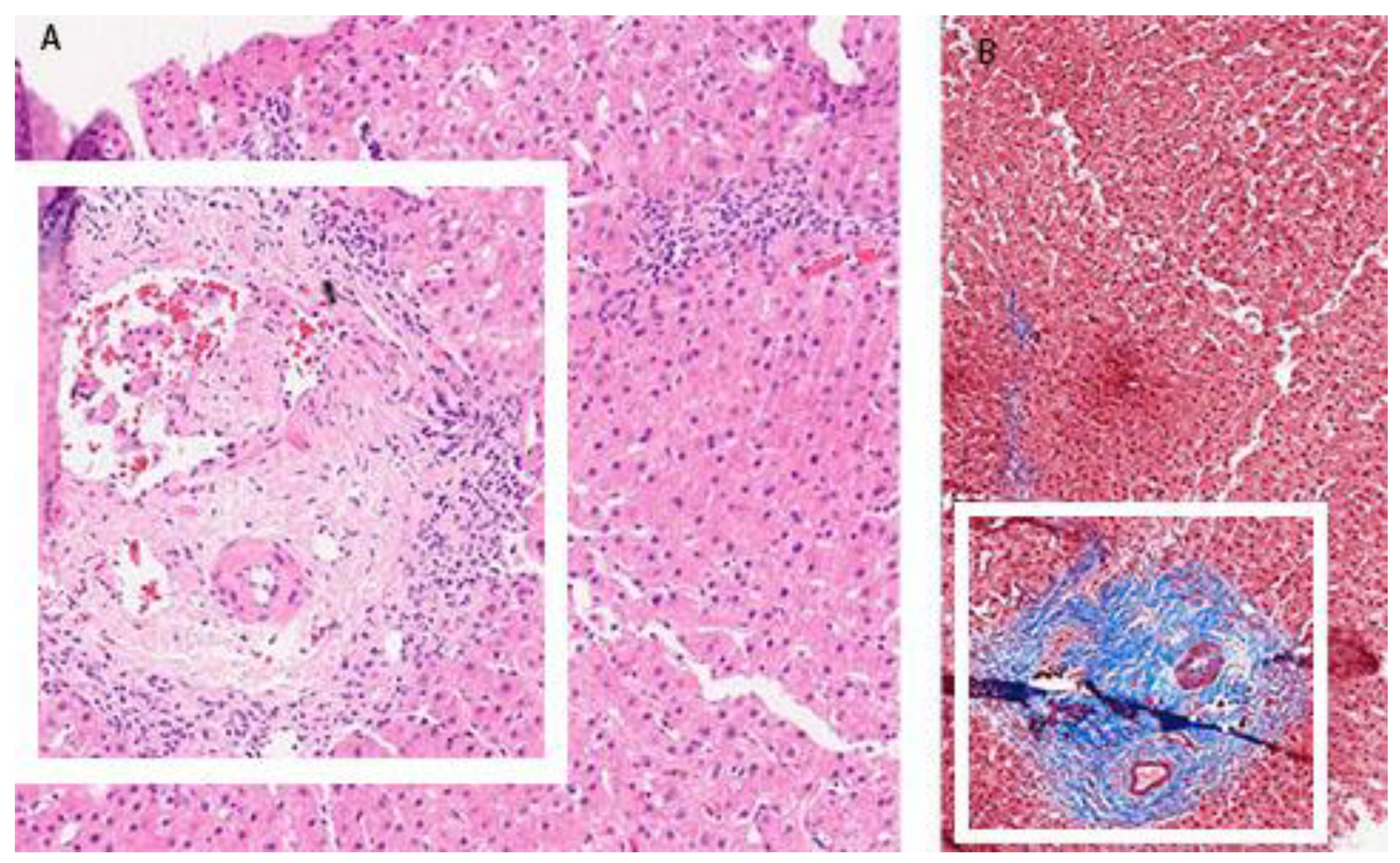 Clinpract 13 00125 g003