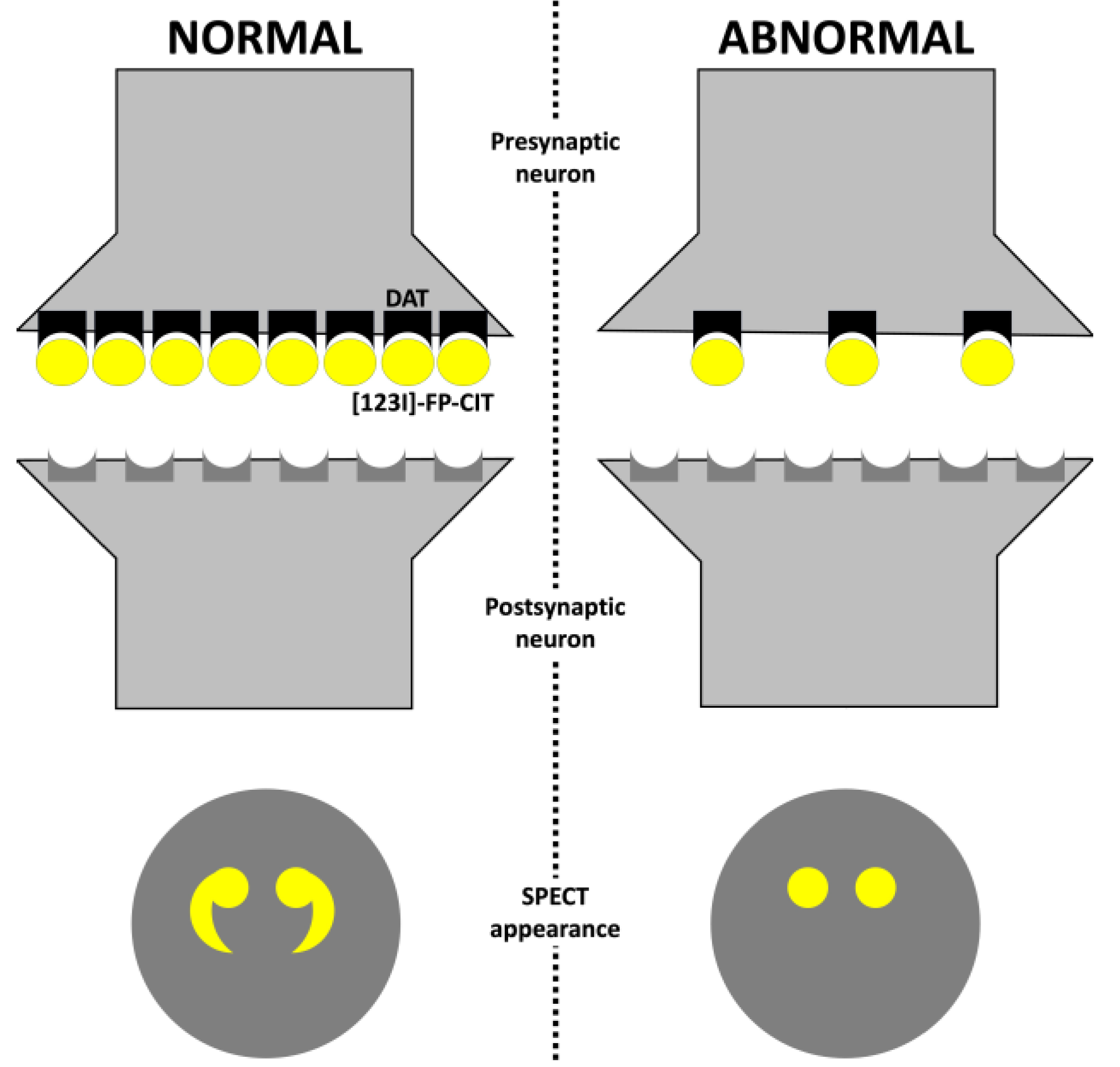 Clinpract 13 00128 g002 Clinpract 13 00128 g002