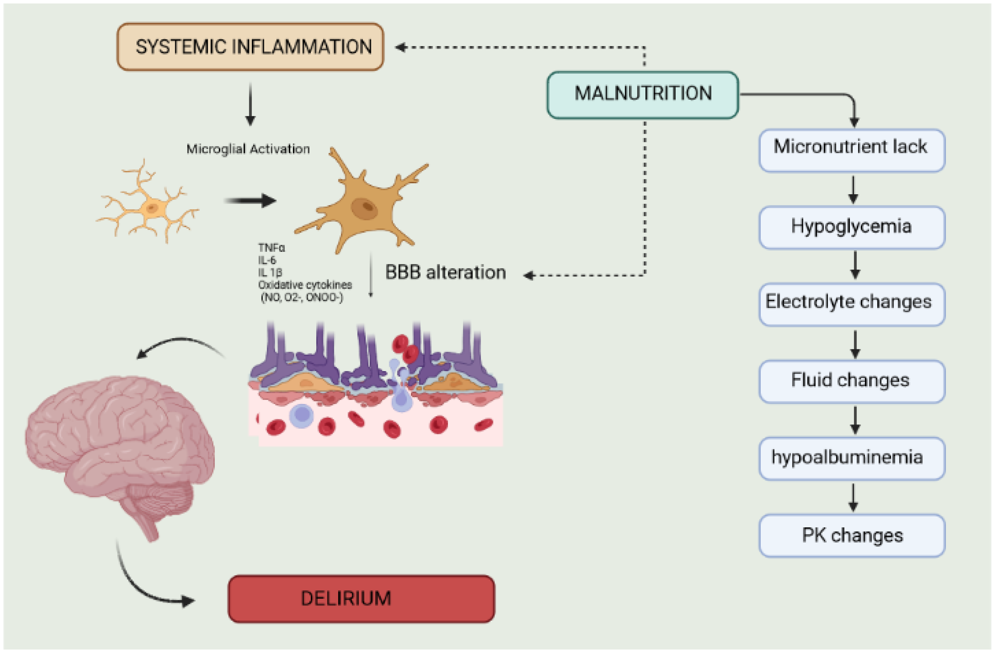Clinpract 13 00138 g002
