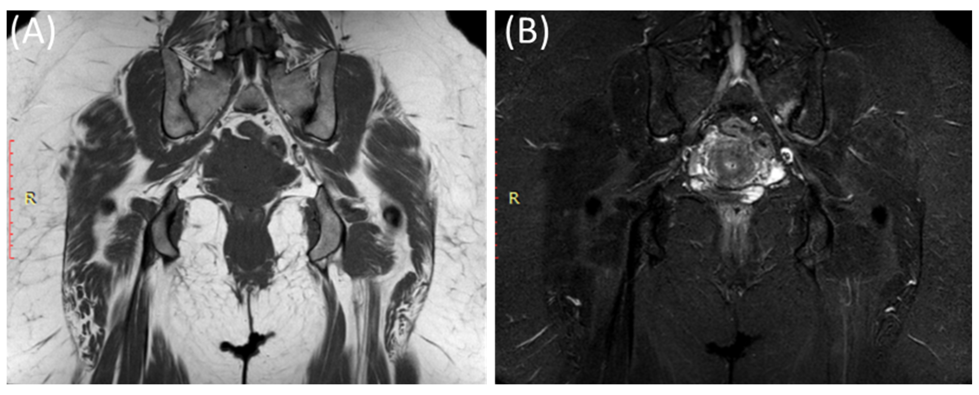 Clinpract 14 00009 g007 Clinpract 14 00009 g007