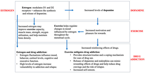 The Role of Estrogen Signaling and Exercise in Drug Abuse: A Review
