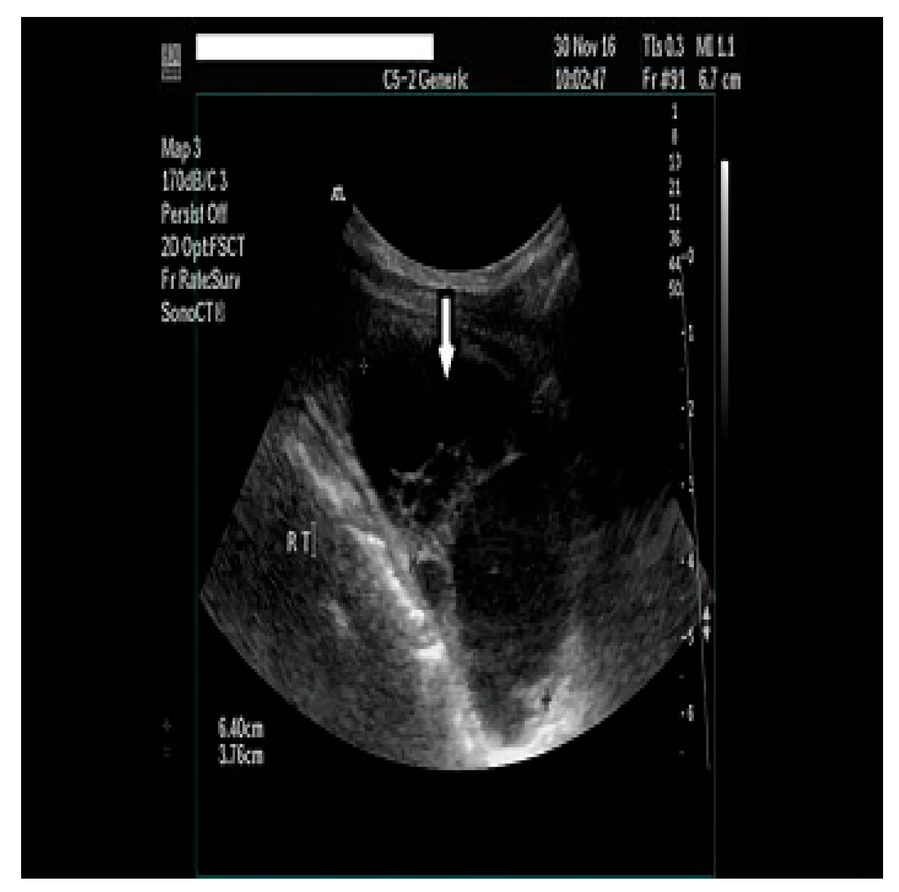 Clinpract 14 00015 g001