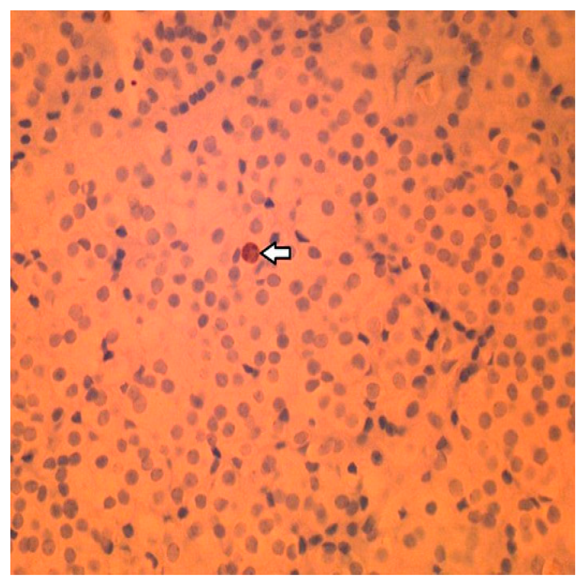 Clinpract 14 00015 g006