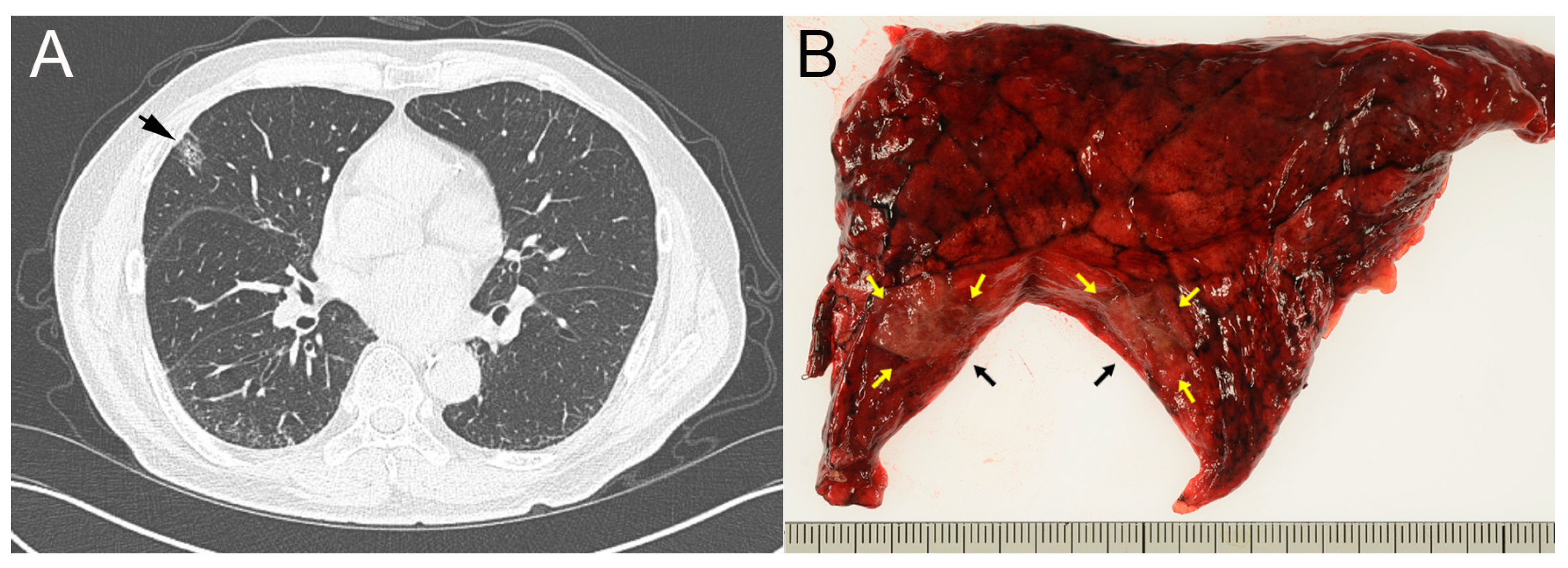 Clinpract 14 00019 g001