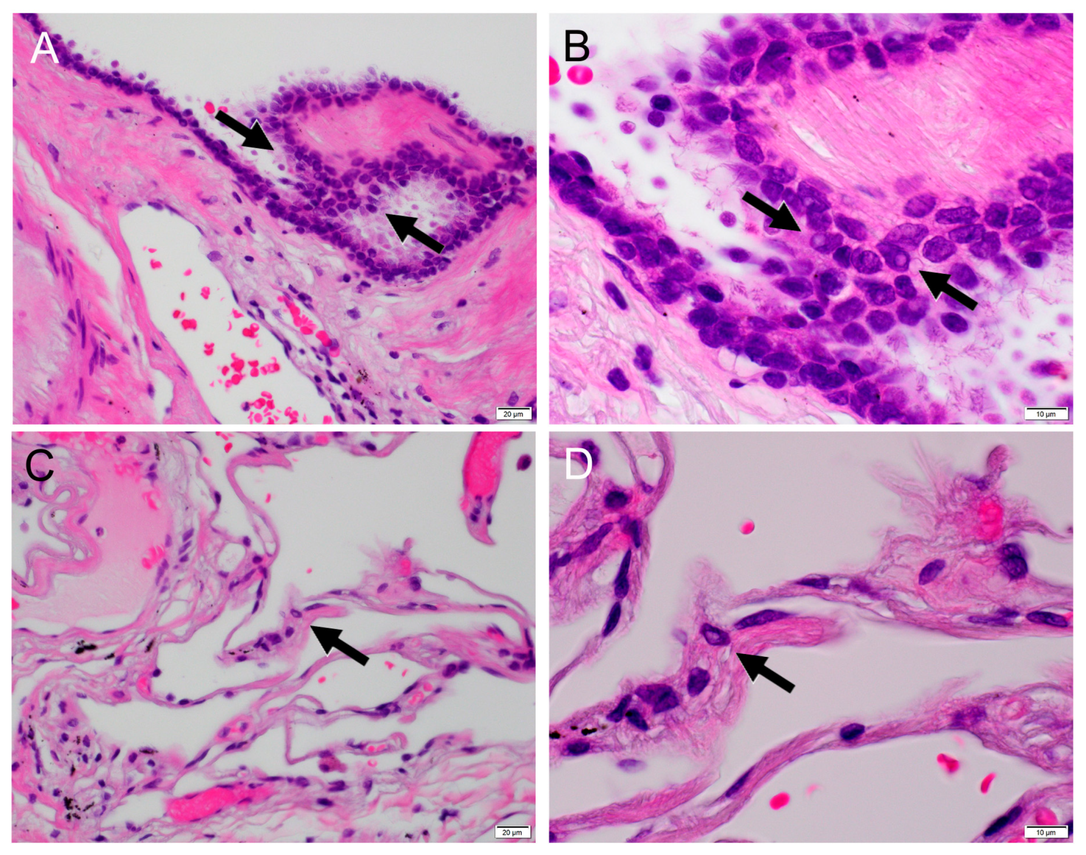 Clinpract 14 00019 g004