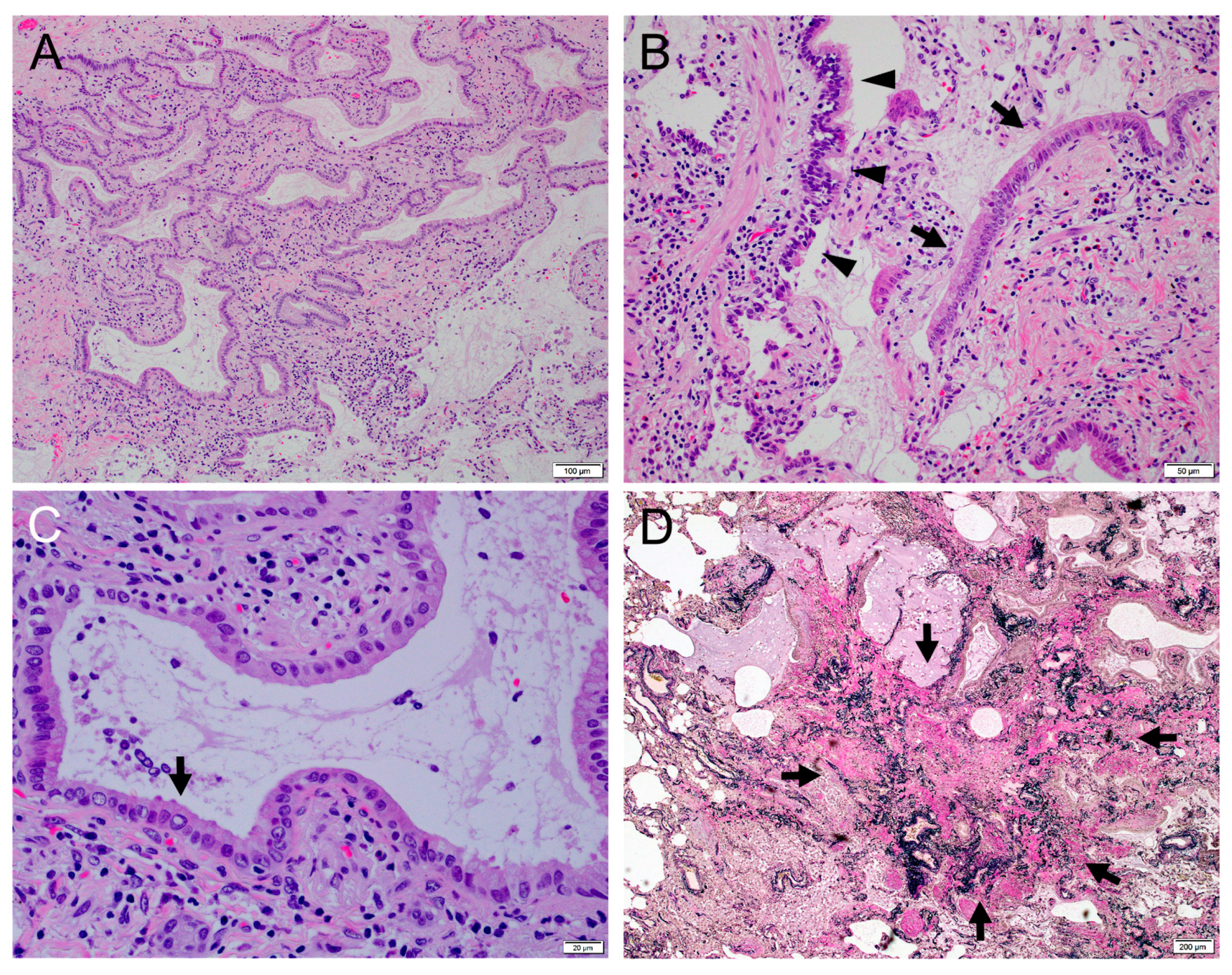 Clinpract 14 00019 g005
