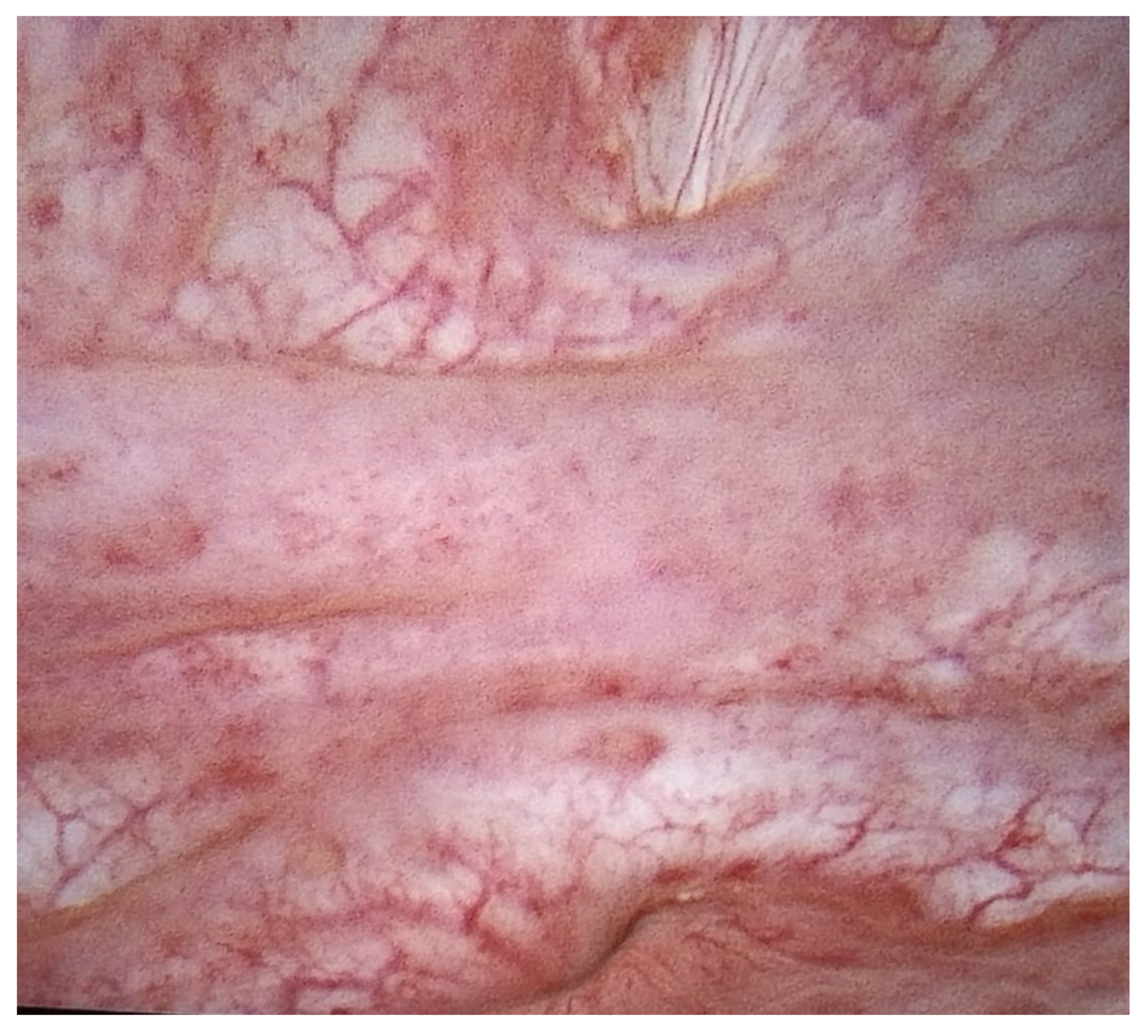 Clinpract 14 00033 g002