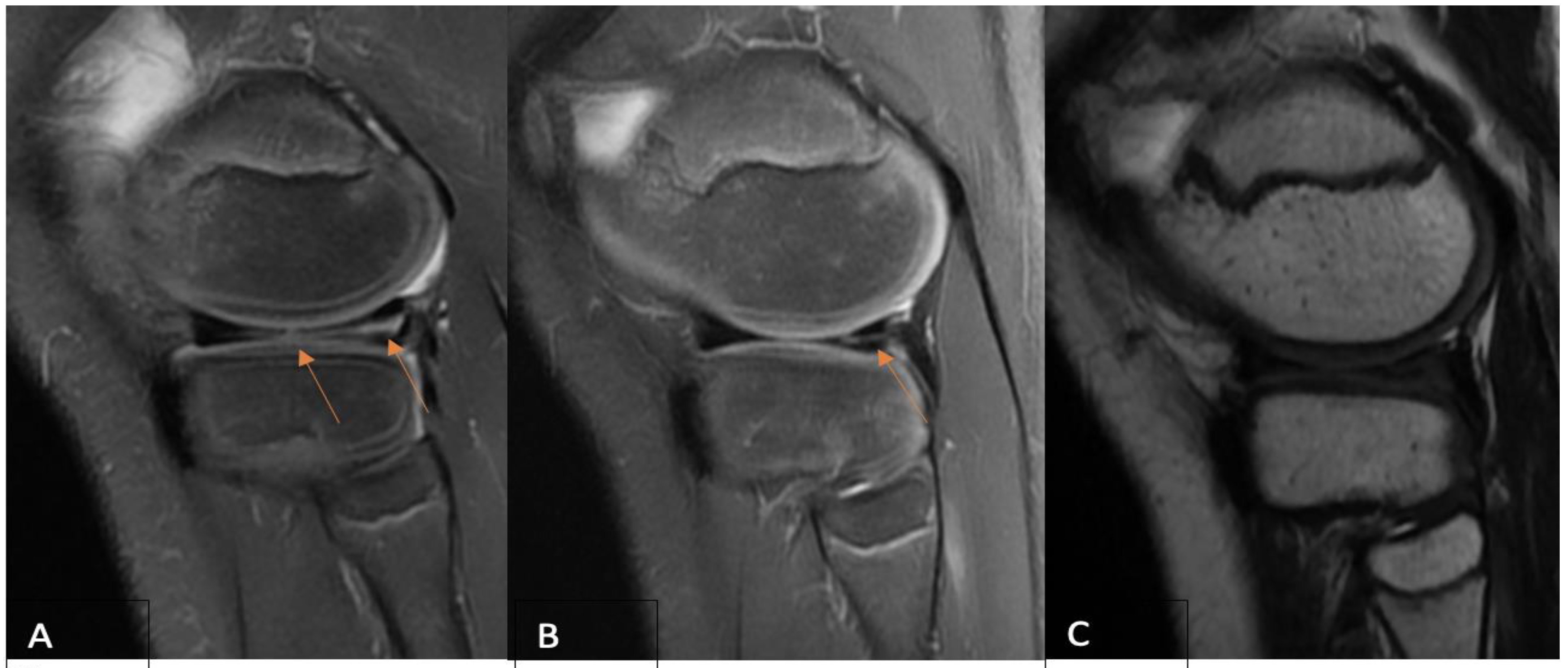 Clinpract 14 00047 g002