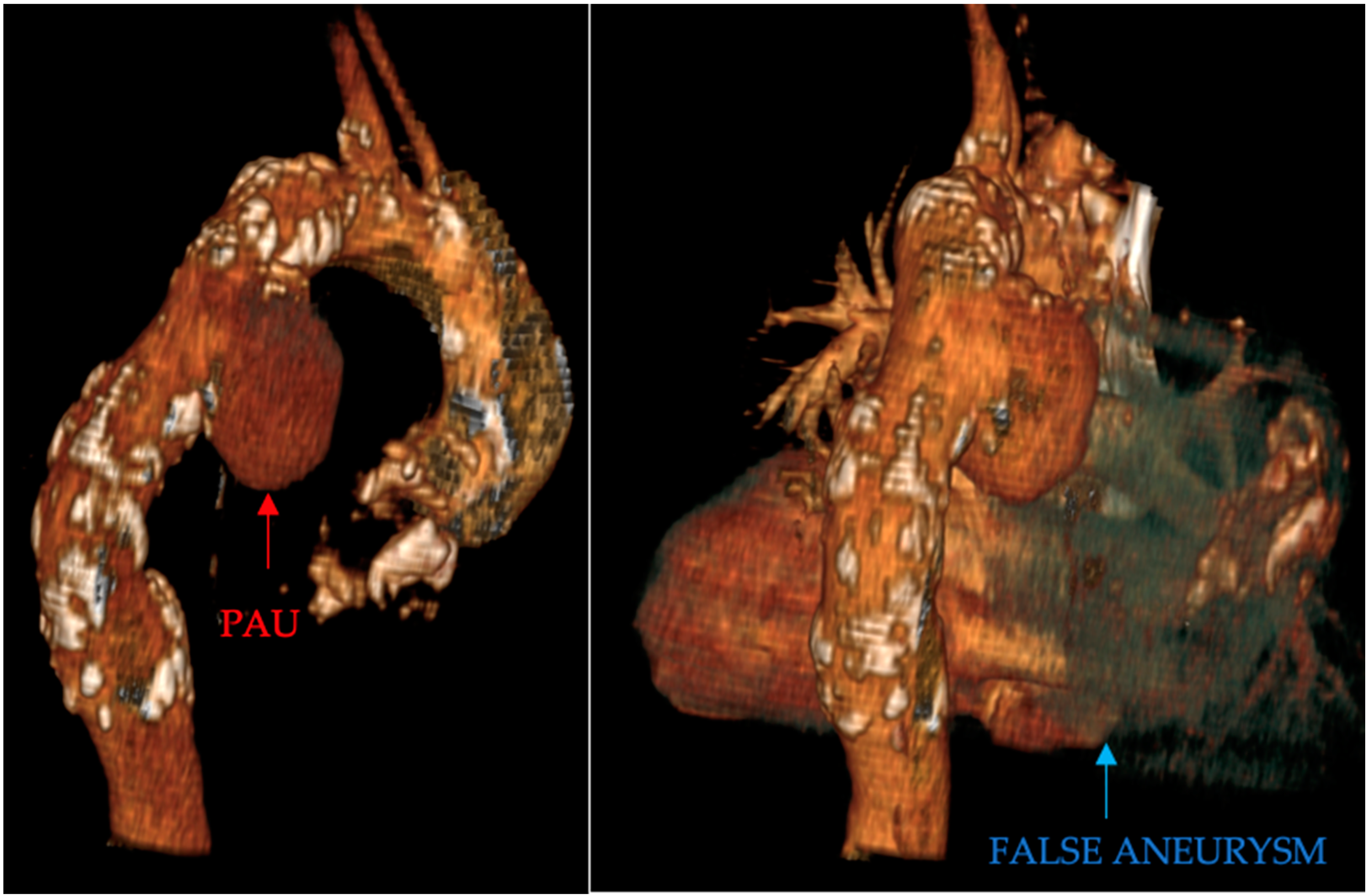 Clinpract 14 00049 g002