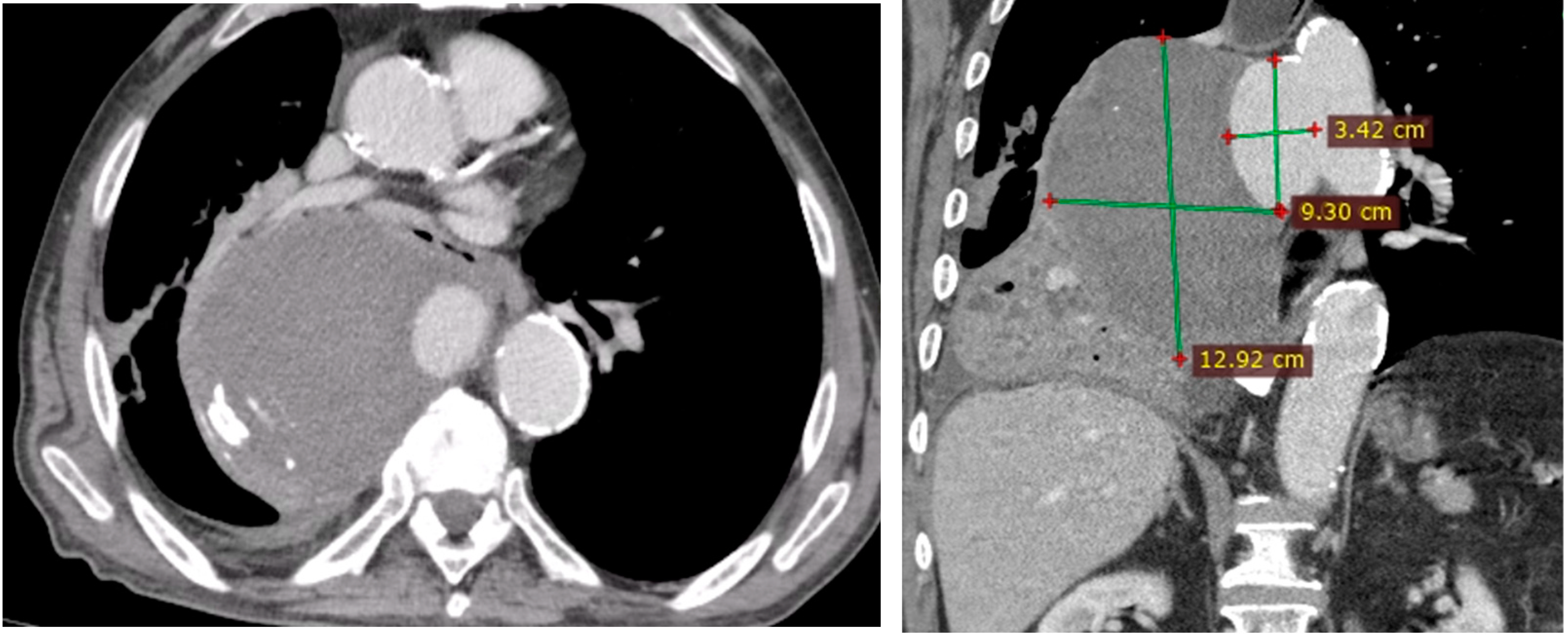Clinpract 14 00049 g003