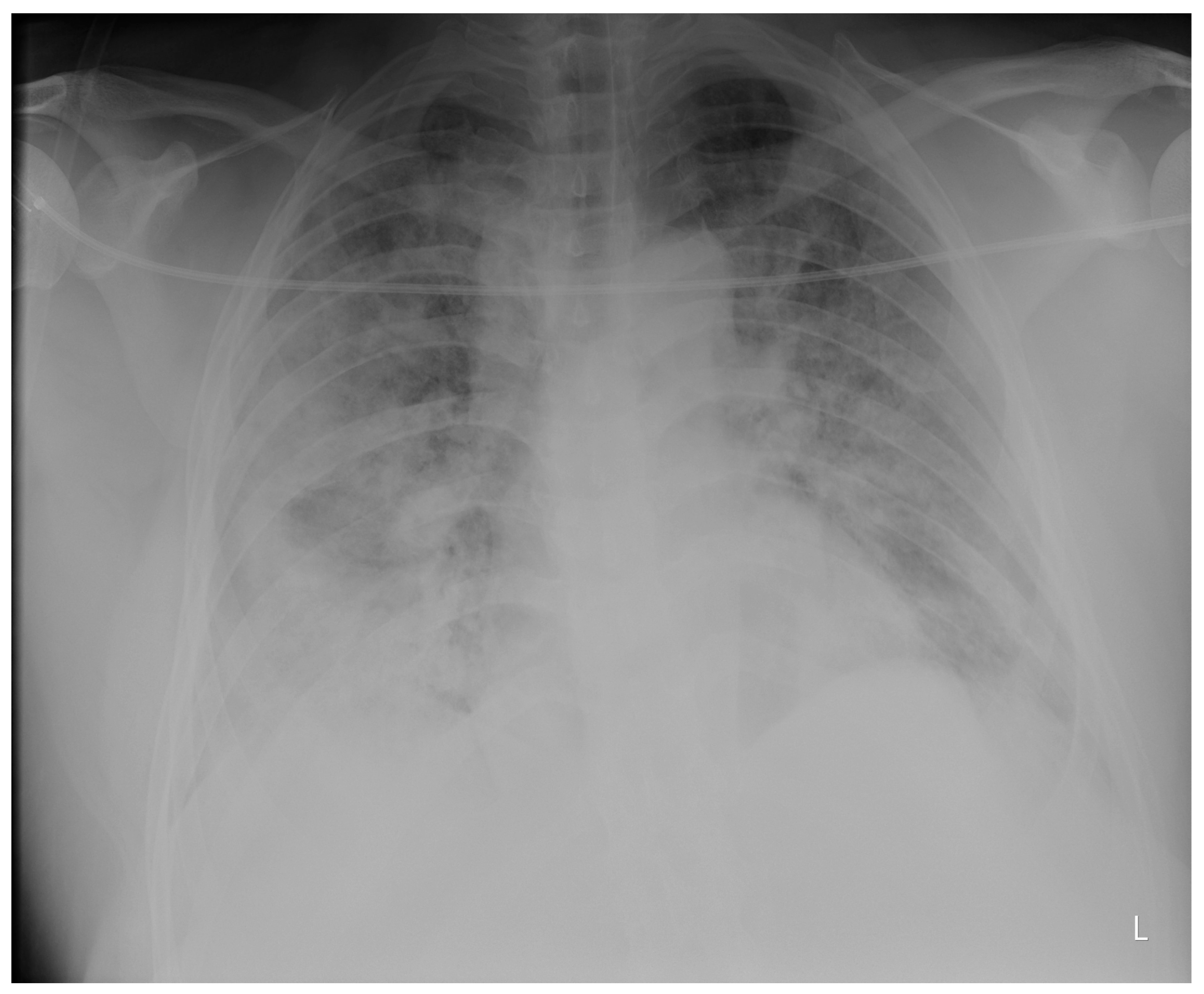 Clinpract 14 00050 g001